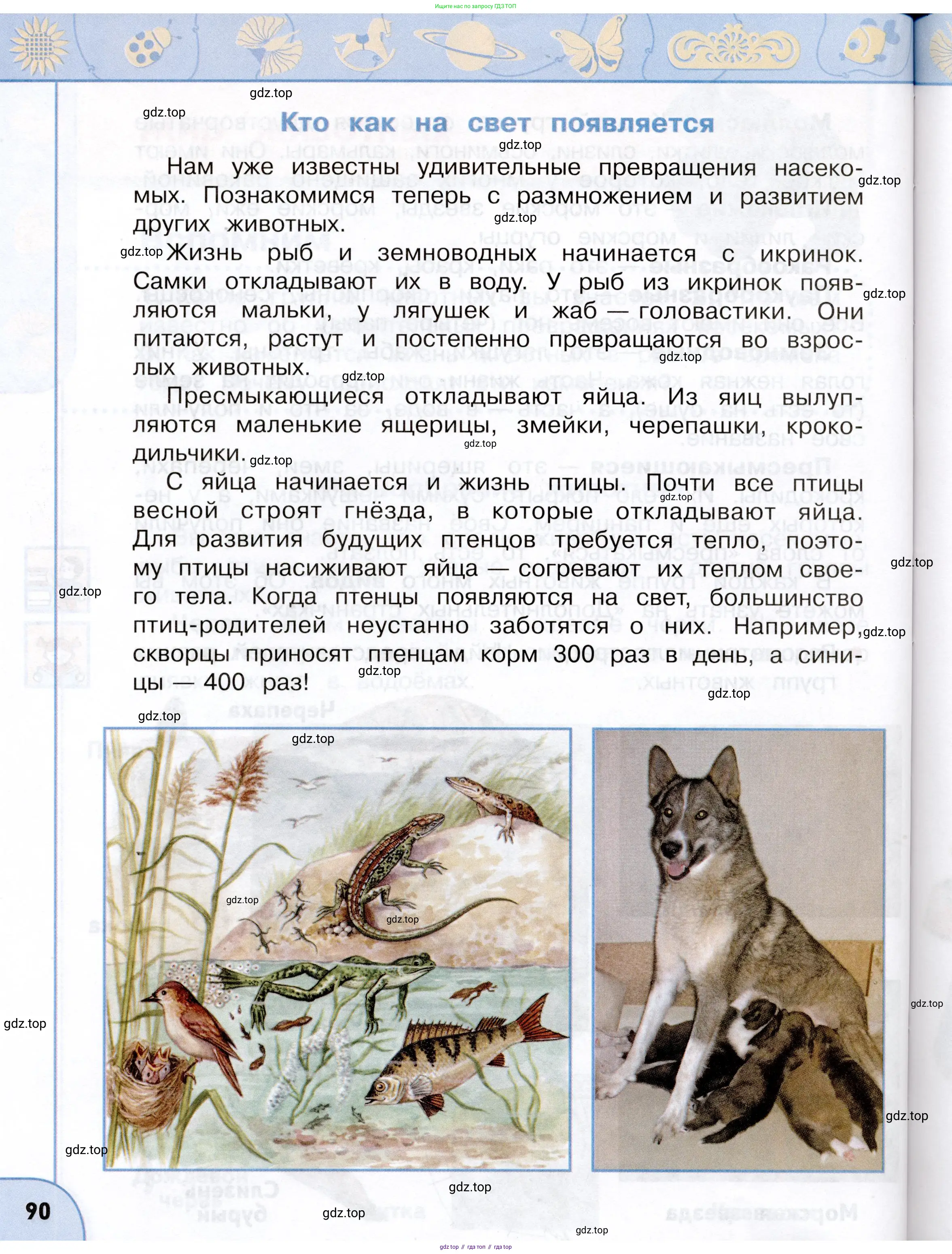 Окружающий мир, 3 класс Учебник, авторы: Плешаков Андрей Анатольевич, Новицкая Марина Юрьевна, издательство Просвещение, Москва, 2019, белого цвета, Часть 2, страница 90