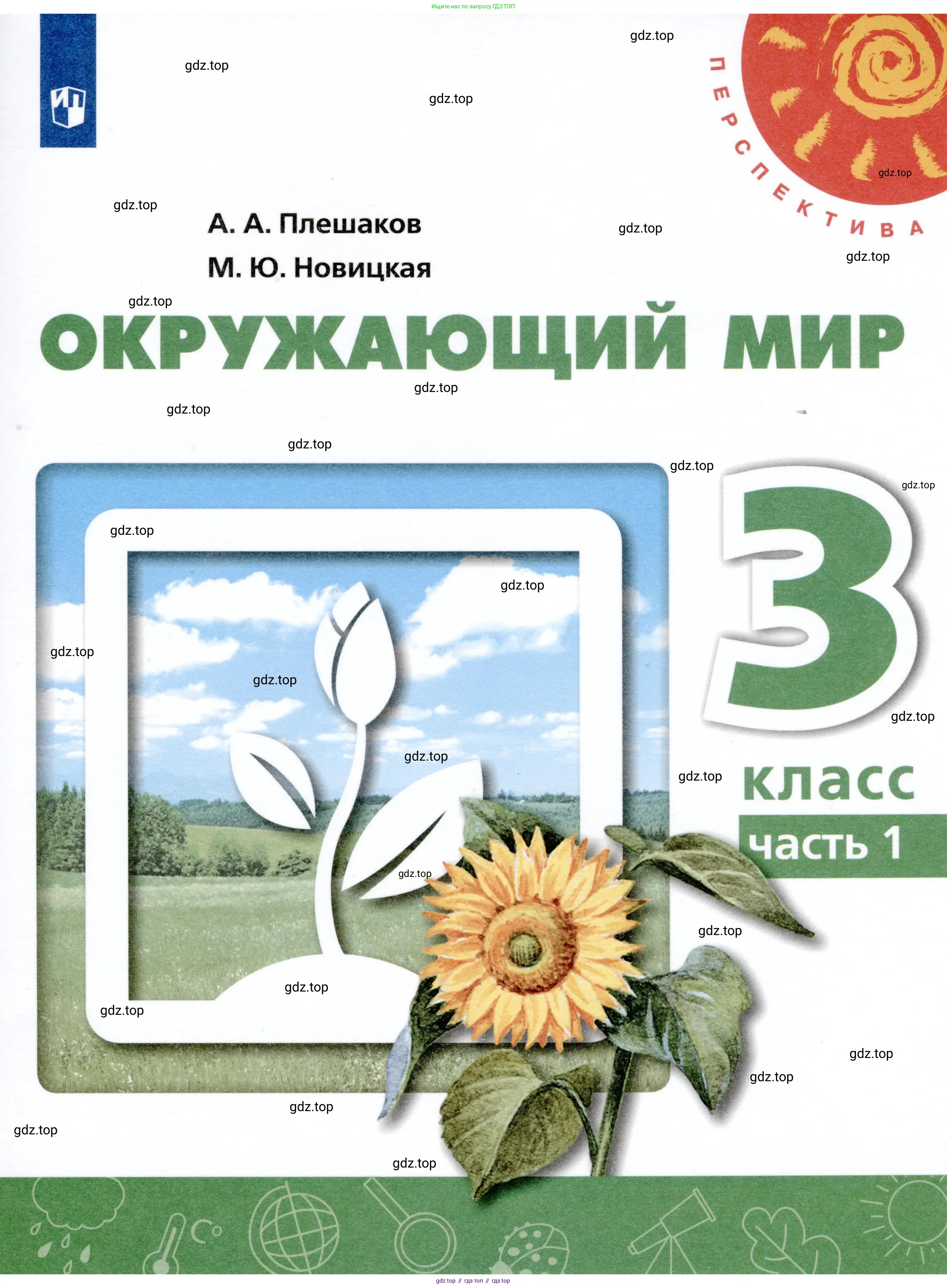 Окружающий мир, 3 класс Учебник, авторы: Плешаков Андрей Анатольевич, Новицкая Марина Юрьевна, издательство Просвещение, Москва, 2019, белого цвета, 