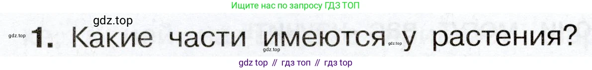 Окружающий мир, 3 класс Учебник, авторы: Плешаков Андрей Анатольевич, Новицкая Марина Юрьевна, издательство Просвещение, Москва, 2019, белого цвета, Часть 2, страница 48, номер 1, Условие