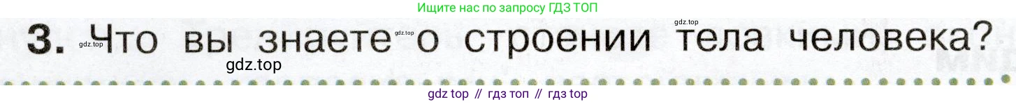Окружающий мир, 3 класс Учебник, авторы: Плешаков Андрей Анатольевич, Новицкая Марина Юрьевна, издательство Просвещение, Москва, 2019, белого цвета, Часть 2, страница 48, номер 3, Условие