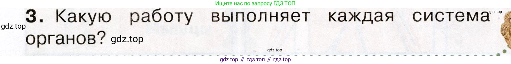 Окружающий мир, 3 класс Учебник, авторы: Плешаков Андрей Анатольевич, Новицкая Марина Юрьевна, издательство Просвещение, Москва, 2019, белого цвета, Часть 2, страница 52, номер 3, Условие