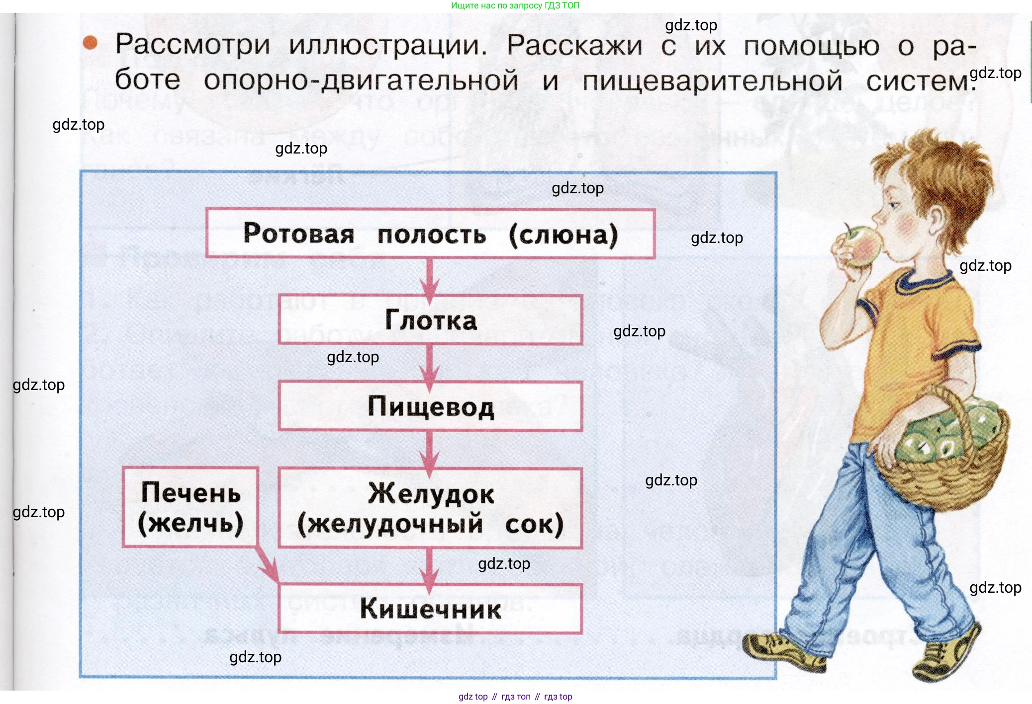 Окружающий мир, 3 класс Учебник, авторы: Плешаков Андрей Анатольевич, Новицкая Марина Юрьевна, издательство Просвещение, Москва, 2019, белого цвета, Часть 2, страница 53, Условие