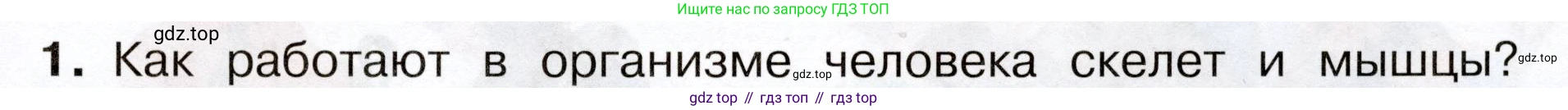 Окружающий мир, 3 класс Учебник, авторы: Плешаков Андрей Анатольевич, Новицкая Марина Юрьевна, издательство Просвещение, Москва, 2019, белого цвета, Часть 2, страница 55, номер 1, Условие