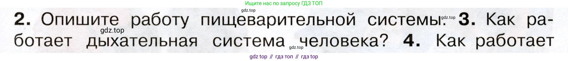 Окружающий мир, 3 класс Учебник, авторы: Плешаков Андрей Анатольевич, Новицкая Марина Юрьевна, издательство Просвещение, Москва, 2019, белого цвета, Часть 2, страница 55, номер 3, Условие
