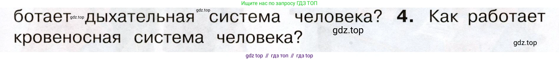Окружающий мир, 3 класс Учебник, авторы: Плешаков Андрей Анатольевич, Новицкая Марина Юрьевна, издательство Просвещение, Москва, 2019, белого цвета, Часть 2, страница 55, номер 4, Условие