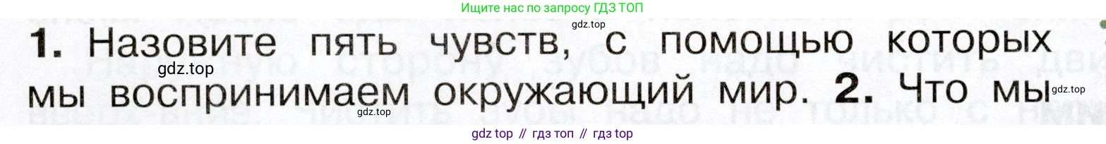 Окружающий мир, 3 класс Учебник, авторы: Плешаков Андрей Анатольевич, Новицкая Марина Юрьевна, издательство Просвещение, Москва, 2019, белого цвета, Часть 2, страница 60, номер 1, Условие