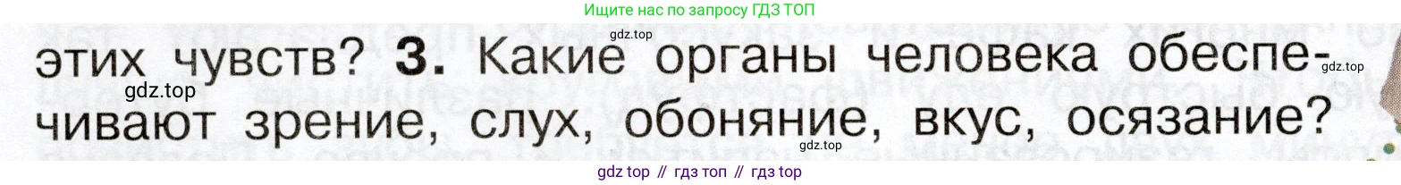 Окружающий мир, 3 класс Учебник, авторы: Плешаков Андрей Анатольевич, Новицкая Марина Юрьевна, издательство Просвещение, Москва, 2019, белого цвета, Часть 2, страница 60, номер 3, Условие