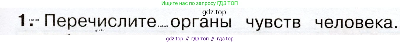 Окружающий мир, 3 класс Учебник, авторы: Плешаков Андрей Анатольевич, Новицкая Марина Юрьевна, издательство Просвещение, Москва, 2019, белого цвета, Часть 2, страница 63, номер 1, Условие