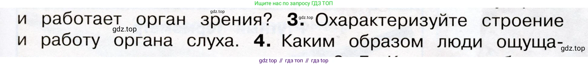 Окружающий мир, 3 класс Учебник, авторы: Плешаков Андрей Анатольевич, Новицкая Марина Юрьевна, издательство Просвещение, Москва, 2019, белого цвета, Часть 2, страница 63, номер 3, Условие