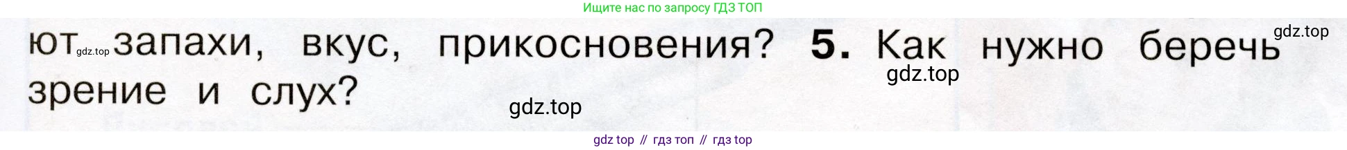 Окружающий мир, 3 класс Учебник, авторы: Плешаков Андрей Анатольевич, Новицкая Марина Юрьевна, издательство Просвещение, Москва, 2019, белого цвета, Часть 2, страница 63, номер 5, Условие