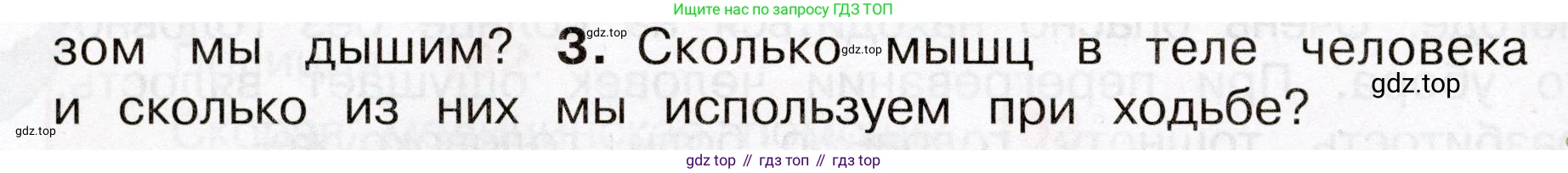 Окружающий мир, 3 класс Учебник, авторы: Плешаков Андрей Анатольевич, Новицкая Марина Юрьевна, издательство Просвещение, Москва, 2019, белого цвета, Часть 2, страница 68, номер 3, Условие