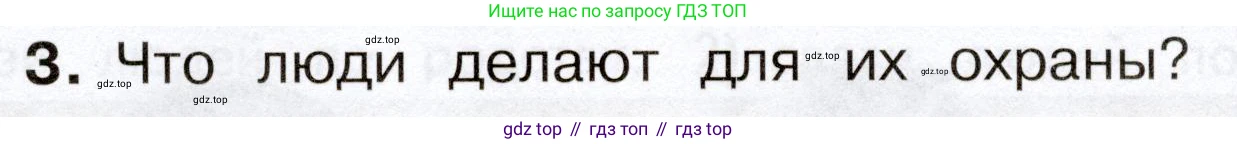 Окружающий мир, 3 класс Учебник, авторы: Плешаков Андрей Анатольевич, Новицкая Марина Юрьевна, издательство Просвещение, Москва, 2019, белого цвета, Часть 2, страница 90, номер 3, Условие