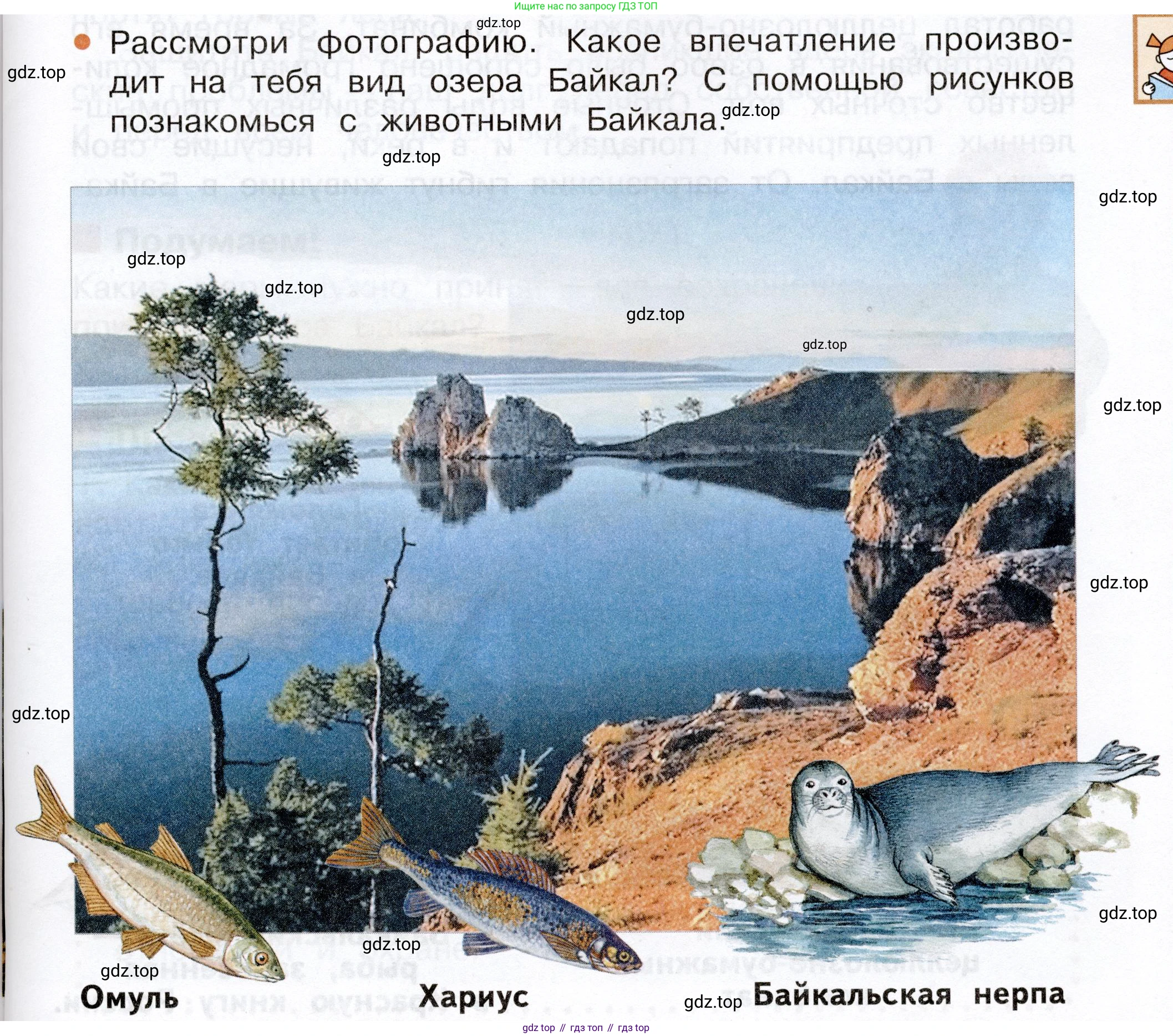 Окружающий мир, 3 класс Учебник, авторы: Плешаков Андрей Анатольевич, Новицкая Марина Юрьевна, издательство Просвещение, Москва, 2019, белого цвета, Часть 2, страница 101, Условие