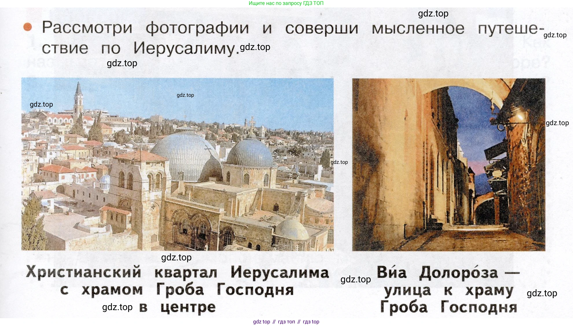 Окружающий мир, 3 класс Учебник, авторы: Плешаков Андрей Анатольевич, Новицкая Марина Юрьевна, издательство Просвещение, Москва, 2019, белого цвета, Часть 2, страница 113, Условие