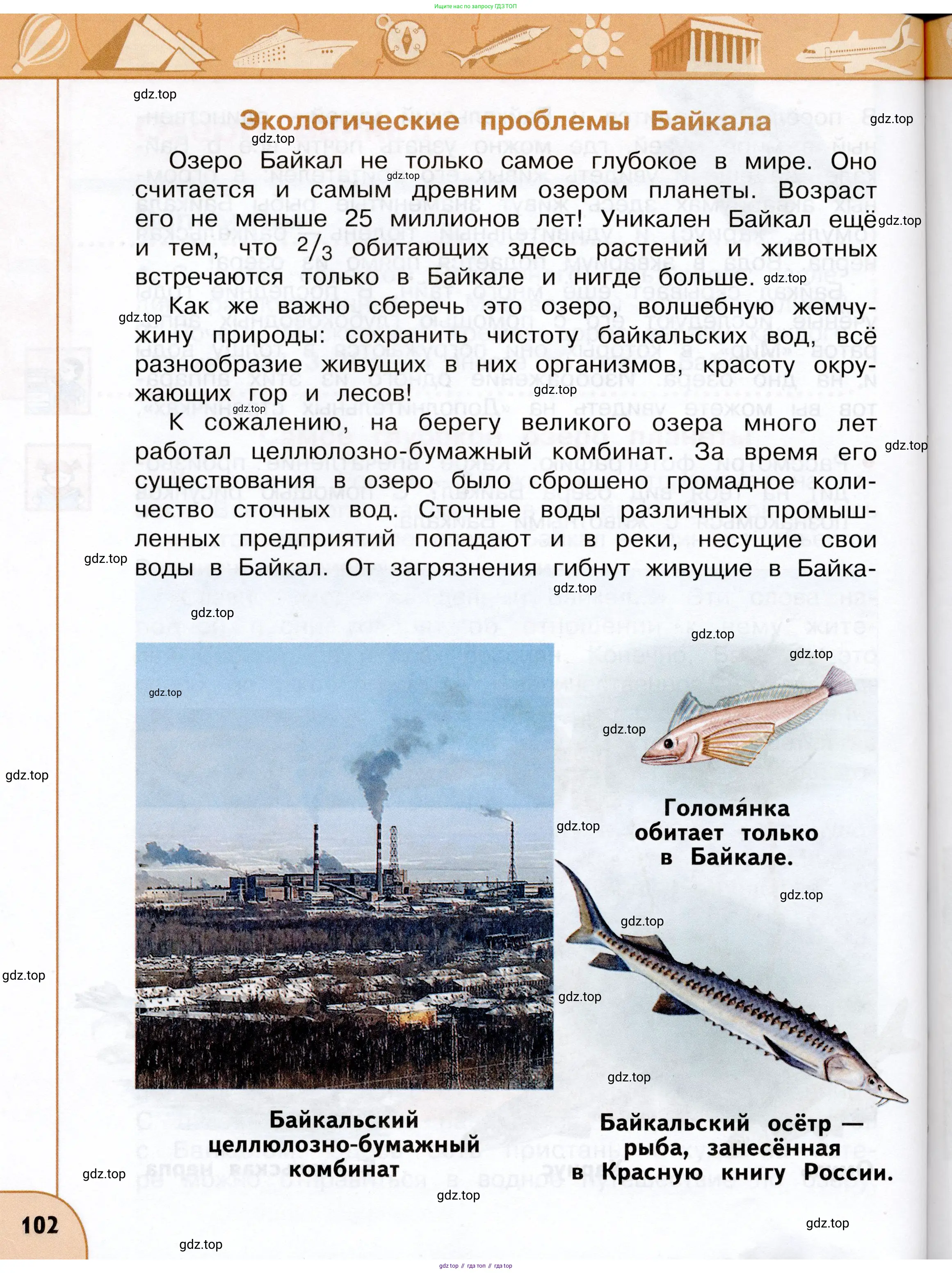 Окружающий мир, 3 класс Учебник, авторы: Плешаков Андрей Анатольевич, Новицкая Марина Юрьевна, издательство Просвещение, Москва, 2019, белого цвета, страница 102