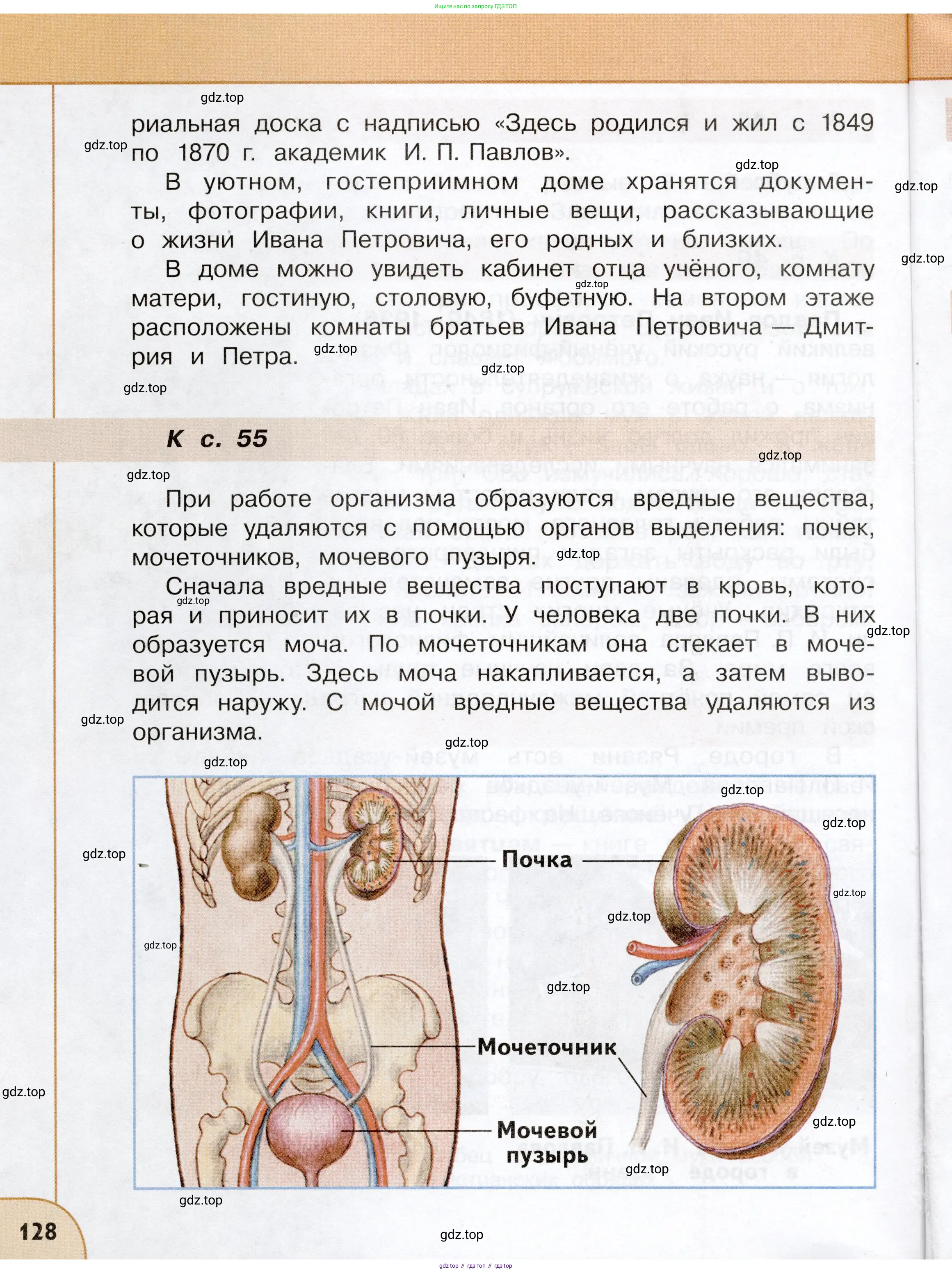 Окружающий мир, 3 класс Учебник, авторы: Плешаков Андрей Анатольевич, Новицкая Марина Юрьевна, издательство Просвещение, Москва, 2019, белого цвета, страница 128