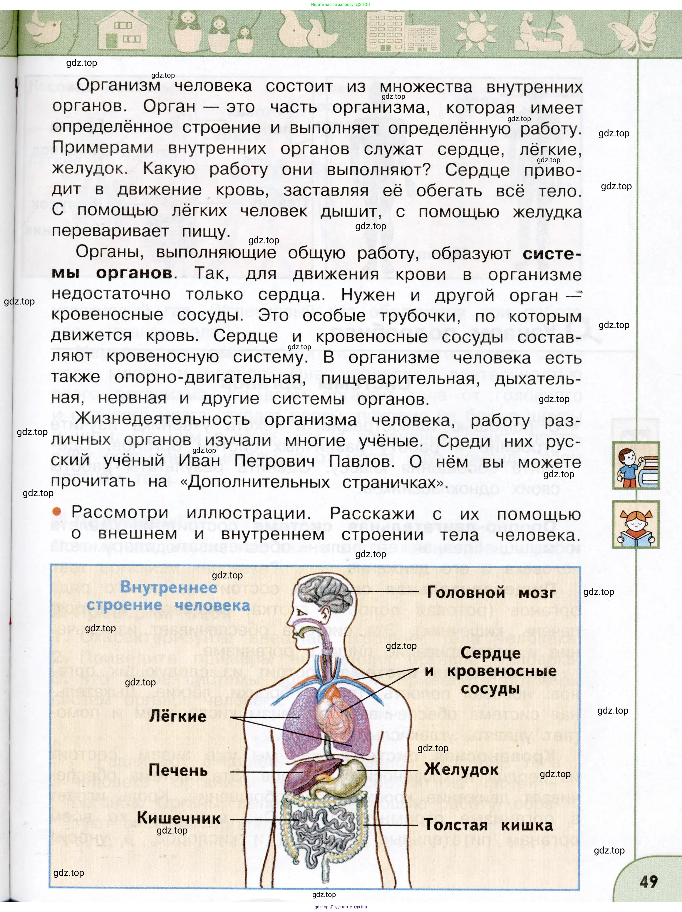 Окружающий мир, 3 класс Учебник, авторы: Плешаков Андрей Анатольевич, Новицкая Марина Юрьевна, издательство Просвещение, Москва, 2019, белого цвета, Часть 2, страница 49