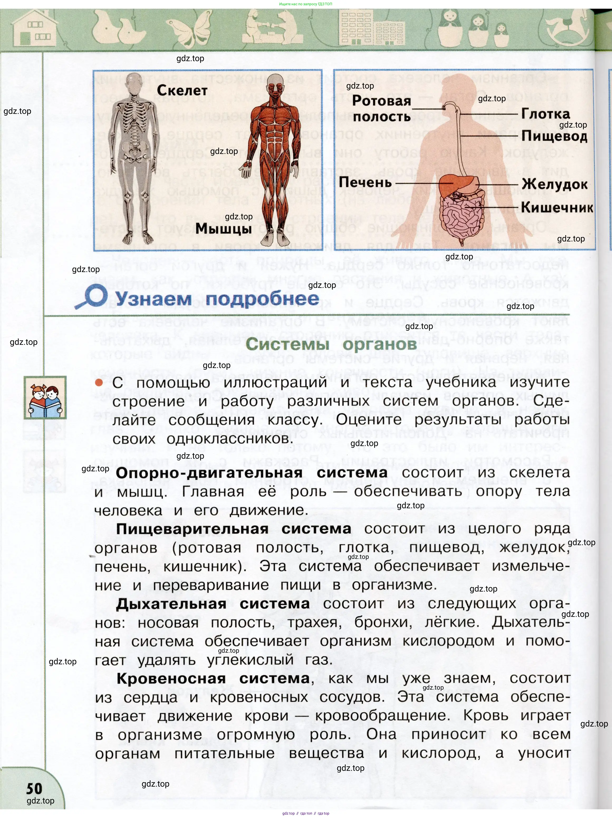 Окружающий мир, 3 класс Учебник, авторы: Плешаков Андрей Анатольевич, Новицкая Марина Юрьевна, издательство Просвещение, Москва, 2019, белого цвета, Часть 2, страница 50