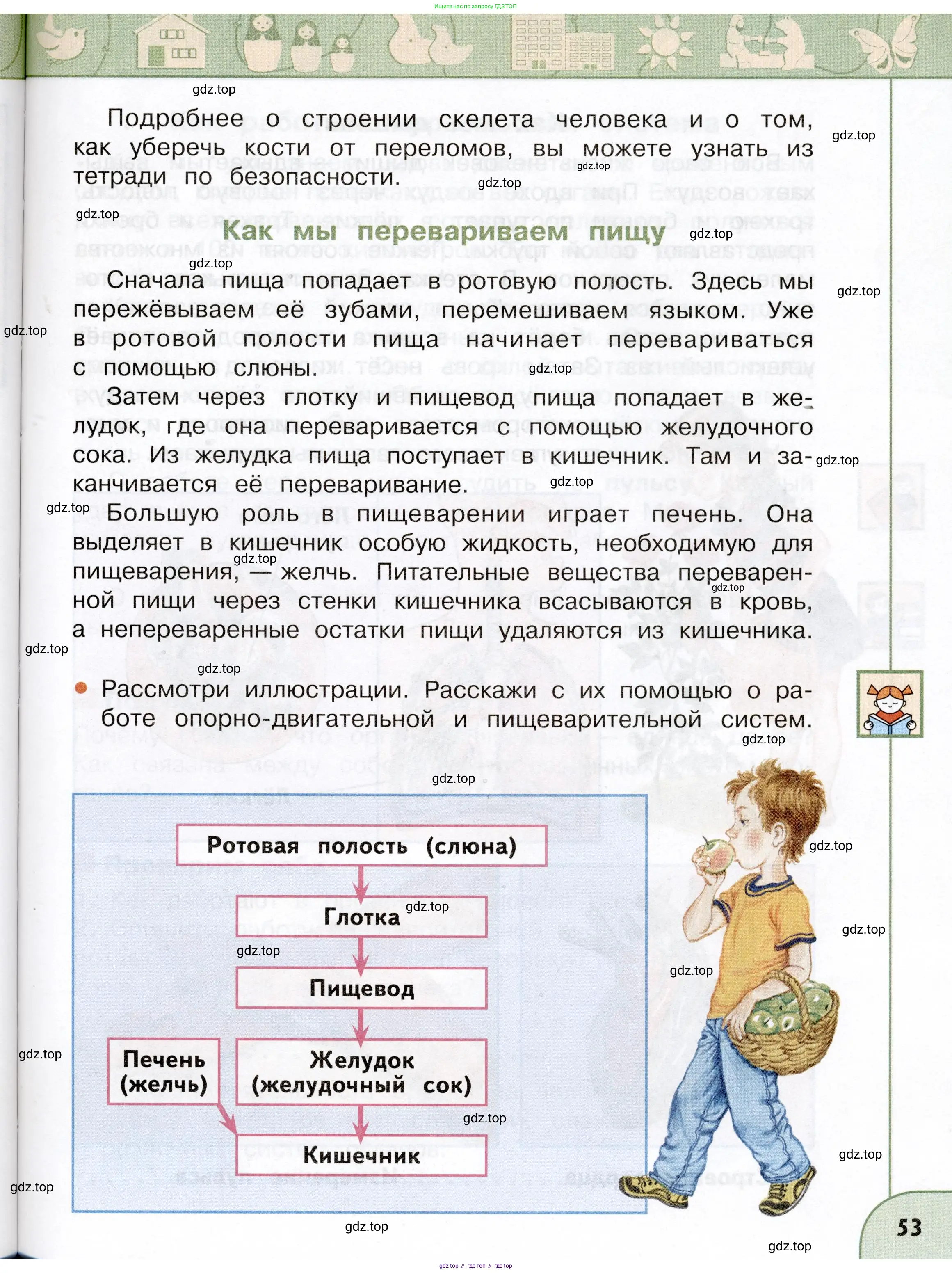Окружающий мир, 3 класс Учебник, авторы: Плешаков Андрей Анатольевич, Новицкая Марина Юрьевна, издательство Просвещение, Москва, 2019, белого цвета, Часть 1, страница 53