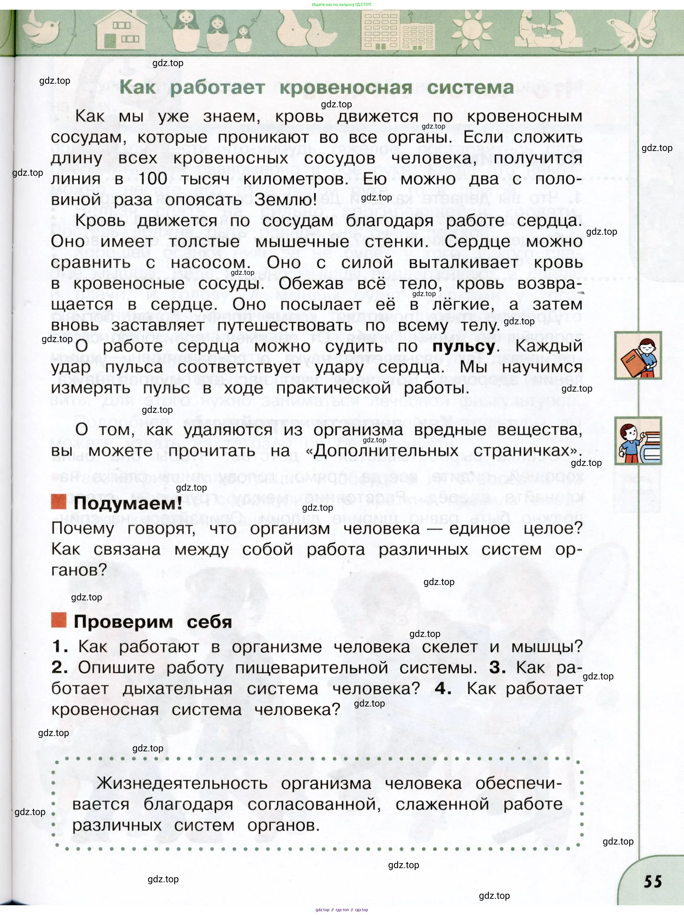Окружающий мир, 3 класс Учебник, авторы: Плешаков Андрей Анатольевич, Новицкая Марина Юрьевна, издательство Просвещение, Москва, 2019, белого цвета, Часть 1, страница 55