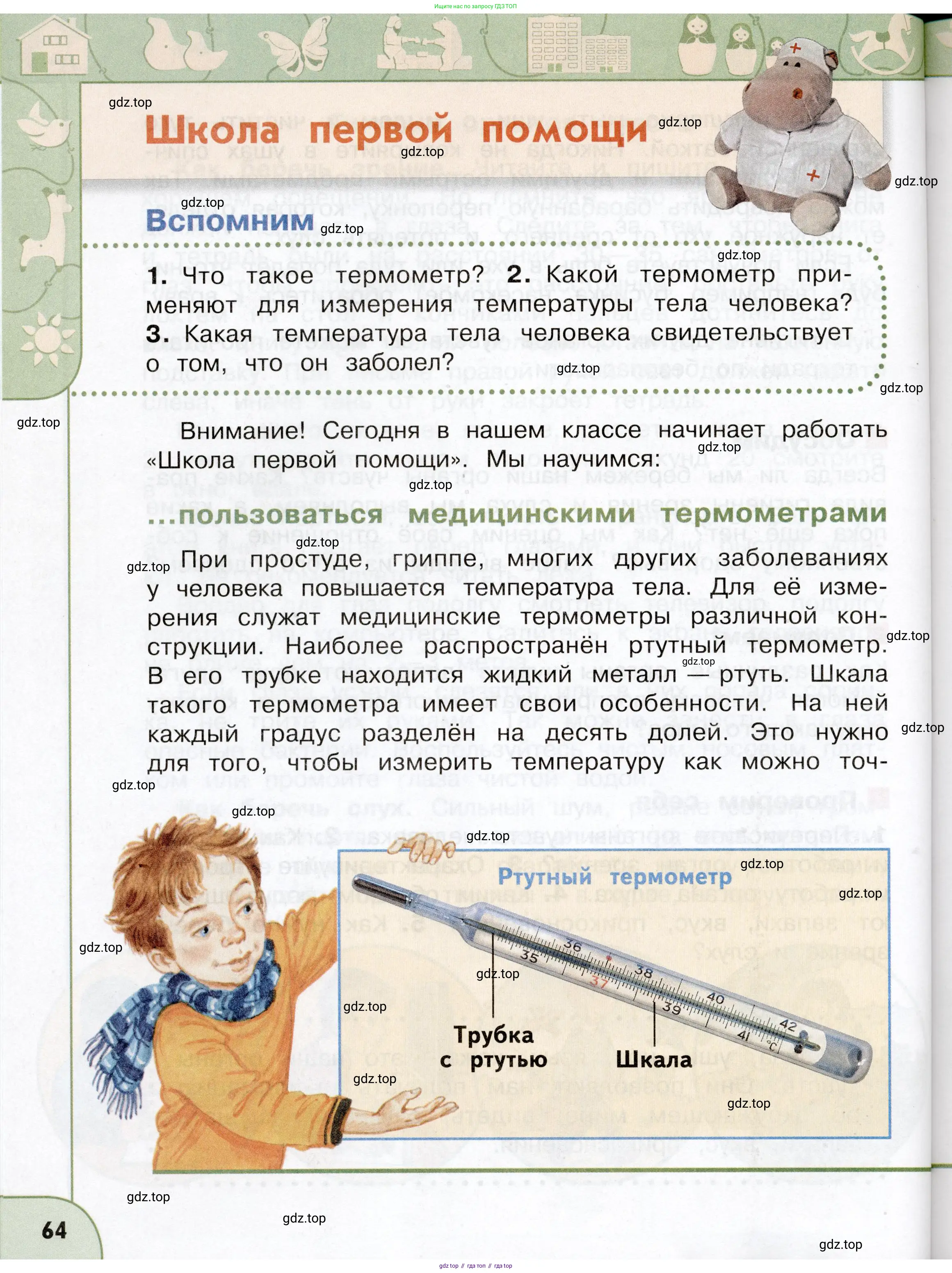 Окружающий мир, 3 класс Учебник, авторы: Плешаков Андрей Анатольевич, Новицкая Марина Юрьевна, издательство Просвещение, Москва, 2019, белого цвета, Часть 1, страница 64