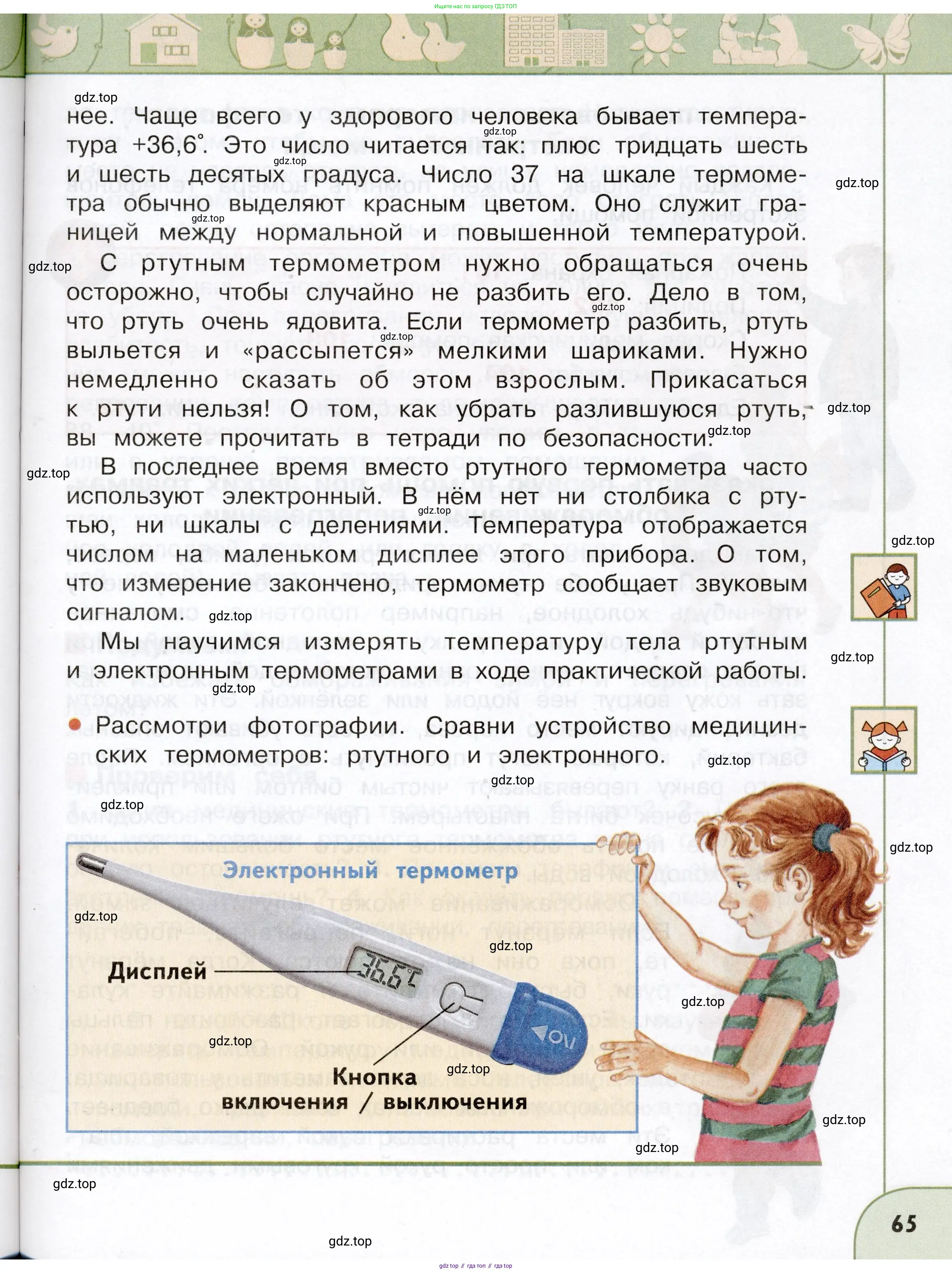 Окружающий мир, 3 класс Учебник, авторы: Плешаков Андрей Анатольевич, Новицкая Марина Юрьевна, издательство Просвещение, Москва, 2019, белого цвета, Часть 1, страница 65