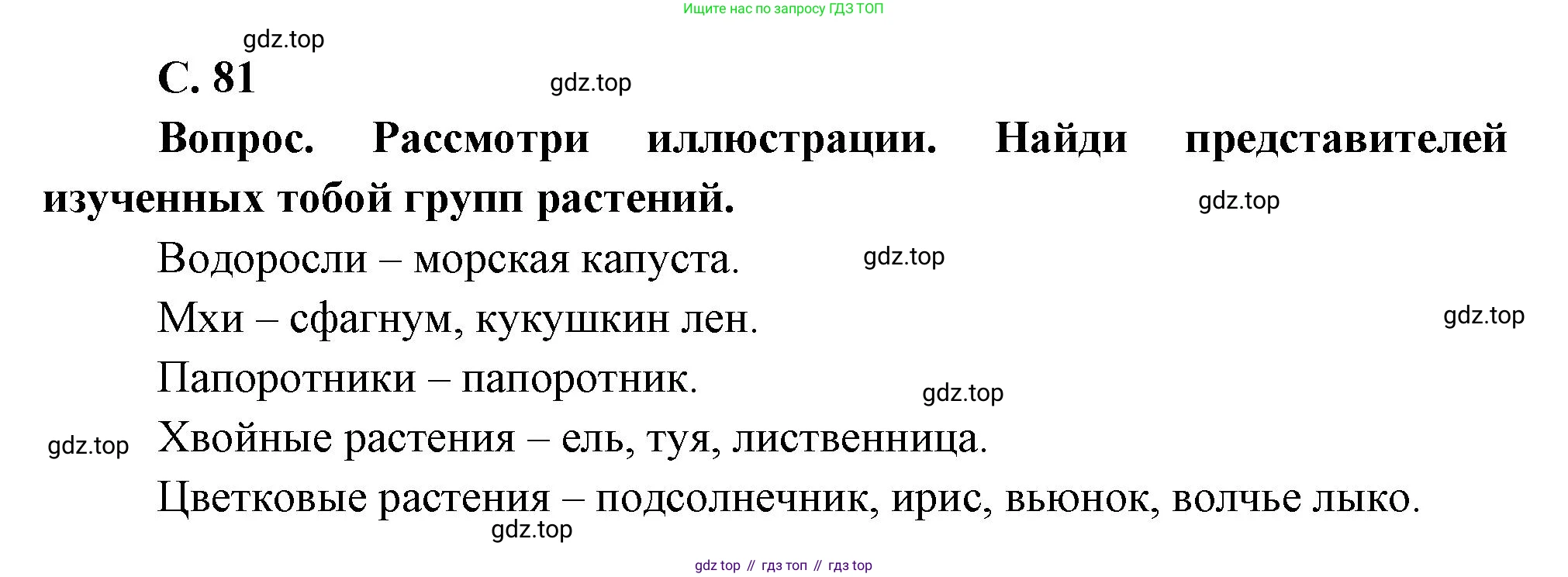Окружающий мир, 3 класс Учебник, авторы: Плешаков Андрей Анатольевич, Новицкая Марина Юрьевна, издательство Просвещение, Москва, 2019, белого цвета, Часть 1, страница 81, номер 1, Решение