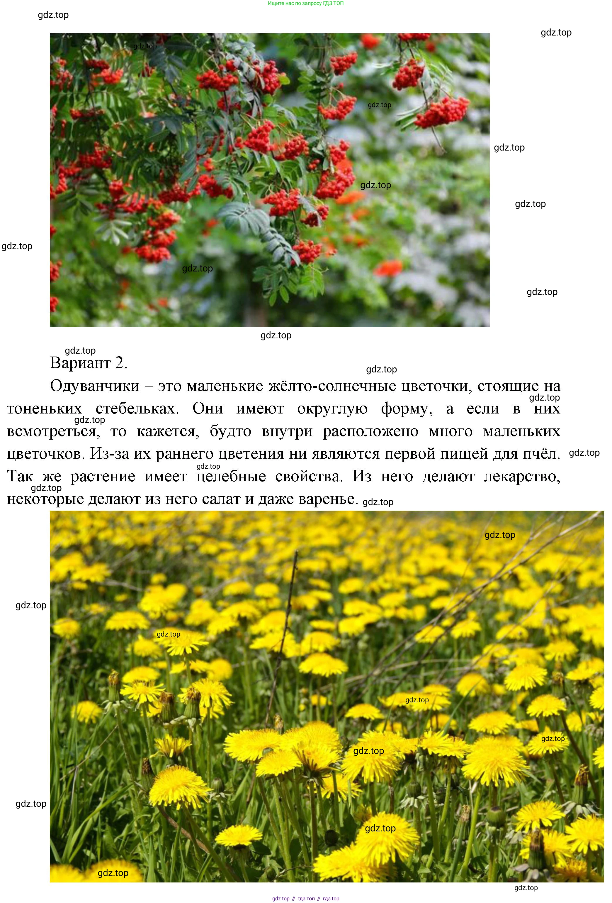 Окружающий мир, 3 класс Учебник, авторы: Плешаков Андрей Анатольевич, Новицкая Марина Юрьевна, издательство Просвещение, Москва, 2019, белого цвета, Часть 1, страница 83, номер 2, Решение (продолжение 2)