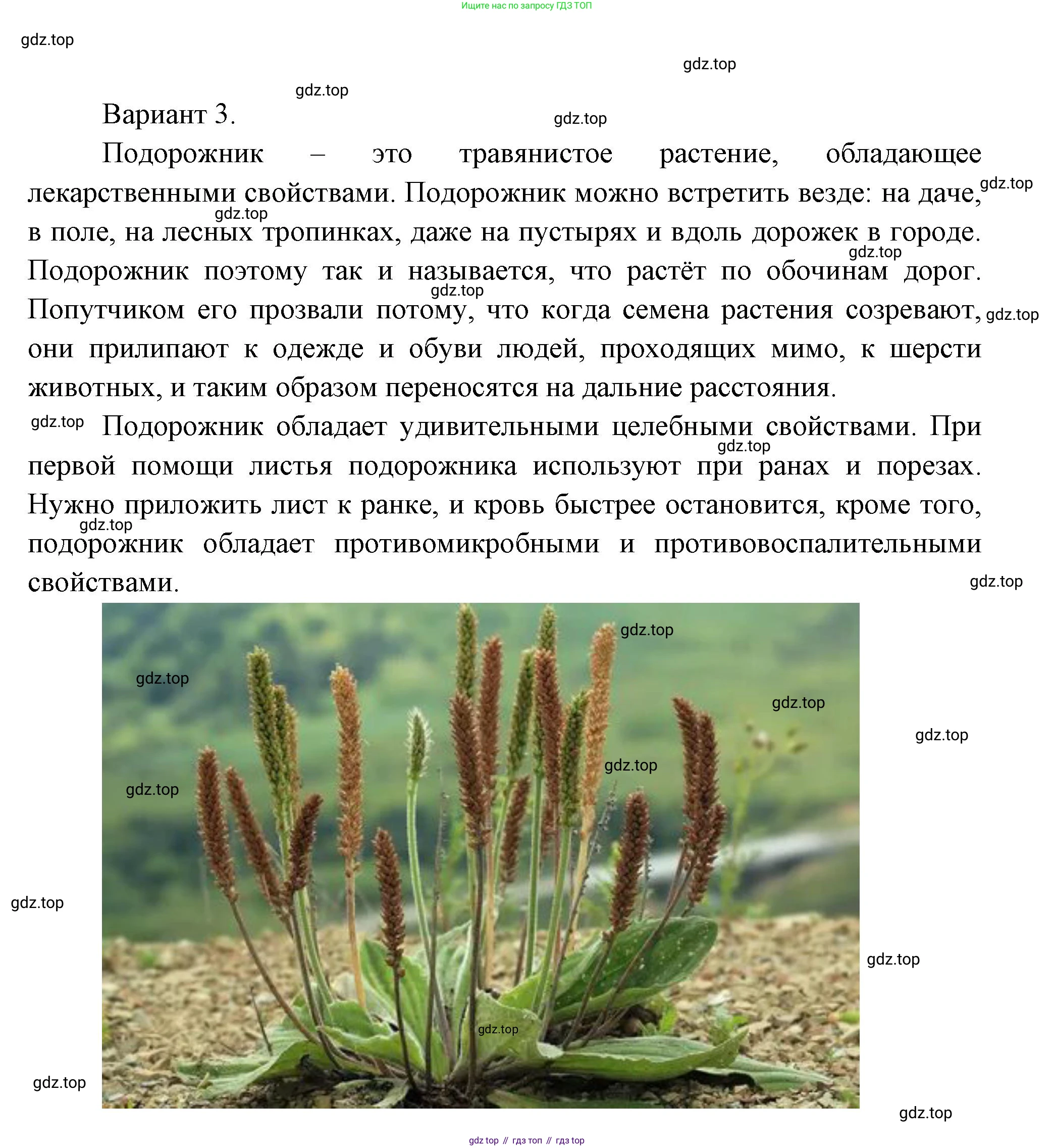 Окружающий мир, 3 класс Учебник, авторы: Плешаков Андрей Анатольевич, Новицкая Марина Юрьевна, издательство Просвещение, Москва, 2019, белого цвета, Часть 1, страница 83, номер 2, Решение (продолжение 3)