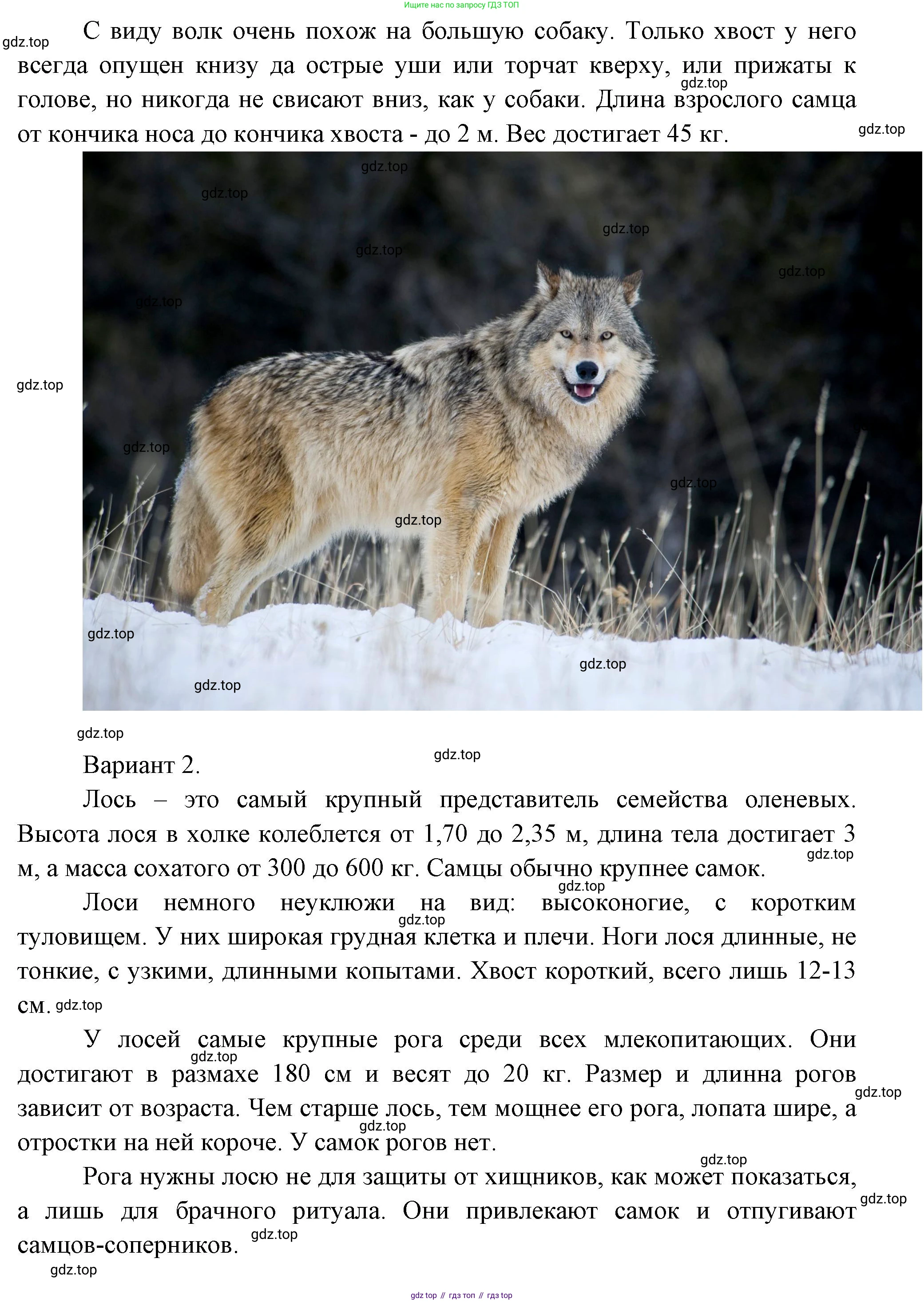 Окружающий мир, 3 класс Учебник, авторы: Плешаков Андрей Анатольевич, Новицкая Марина Юрьевна, издательство Просвещение, Москва, 2019, белого цвета, Часть 1, страница 99, Решение (продолжение 2)