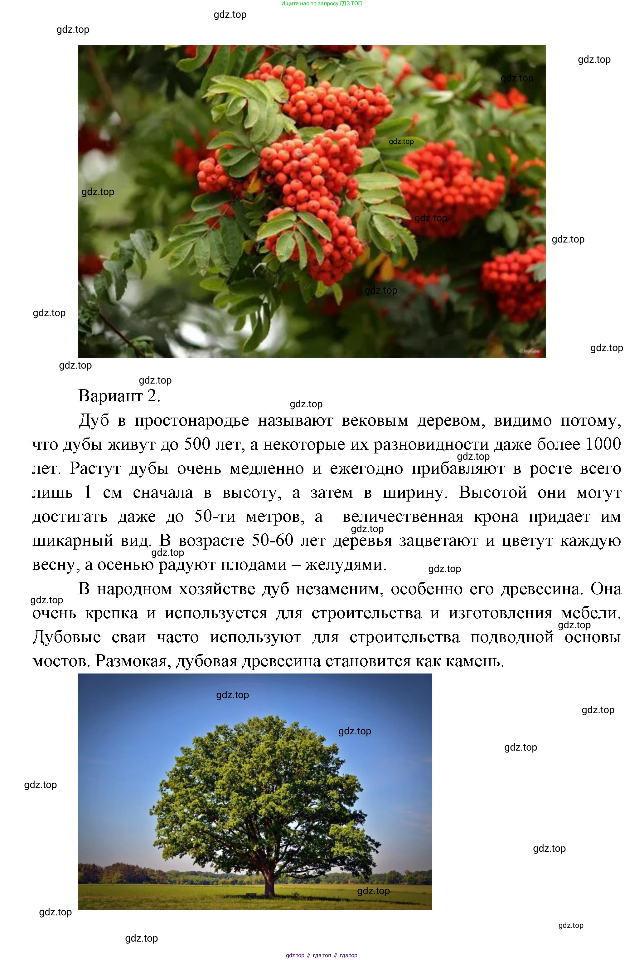 Окружающий мир, 3 класс Учебник, авторы: Плешаков Андрей Анатольевич, Новицкая Марина Юрьевна, издательство Просвещение, Москва, 2019, белого цвета, Часть 1, страница 105, номер 1, Решение (продолжение 2)