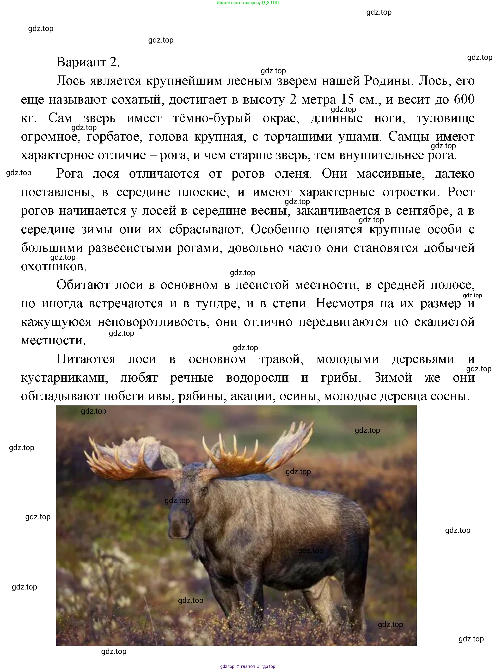 Окружающий мир, 3 класс Учебник, авторы: Плешаков Андрей Анатольевич, Новицкая Марина Юрьевна, издательство Просвещение, Москва, 2019, белого цвета, Часть 1, страница 105, номер 2, Решение (продолжение 2)