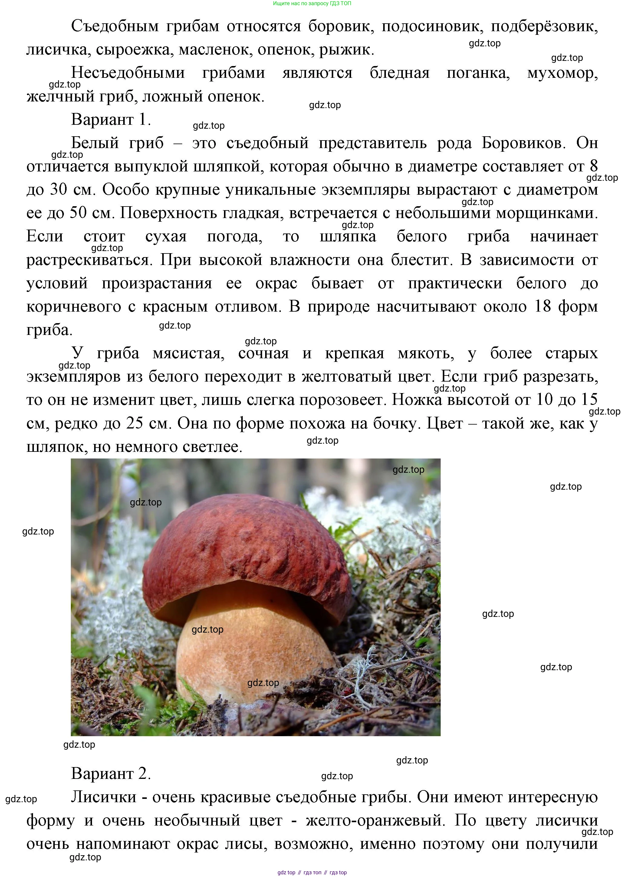 Окружающий мир, 3 класс Учебник, авторы: Плешаков Андрей Анатольевич, Новицкая Марина Юрьевна, издательство Просвещение, Москва, 2019, белого цвета, Часть 1, страница 105, номер 3, Решение (продолжение 2)