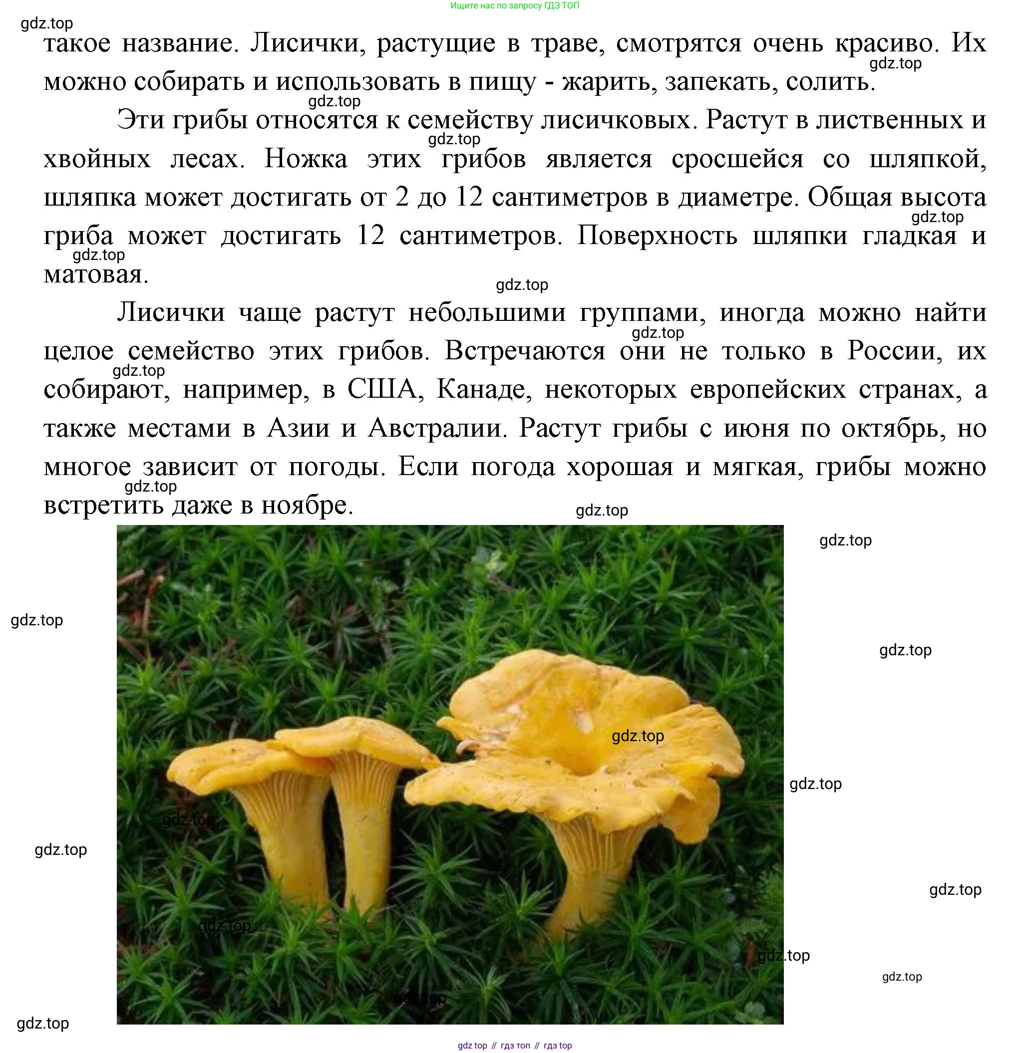 Окружающий мир, 3 класс Учебник, авторы: Плешаков Андрей Анатольевич, Новицкая Марина Юрьевна, издательство Просвещение, Москва, 2019, белого цвета, Часть 1, страница 105, номер 3, Решение (продолжение 3)