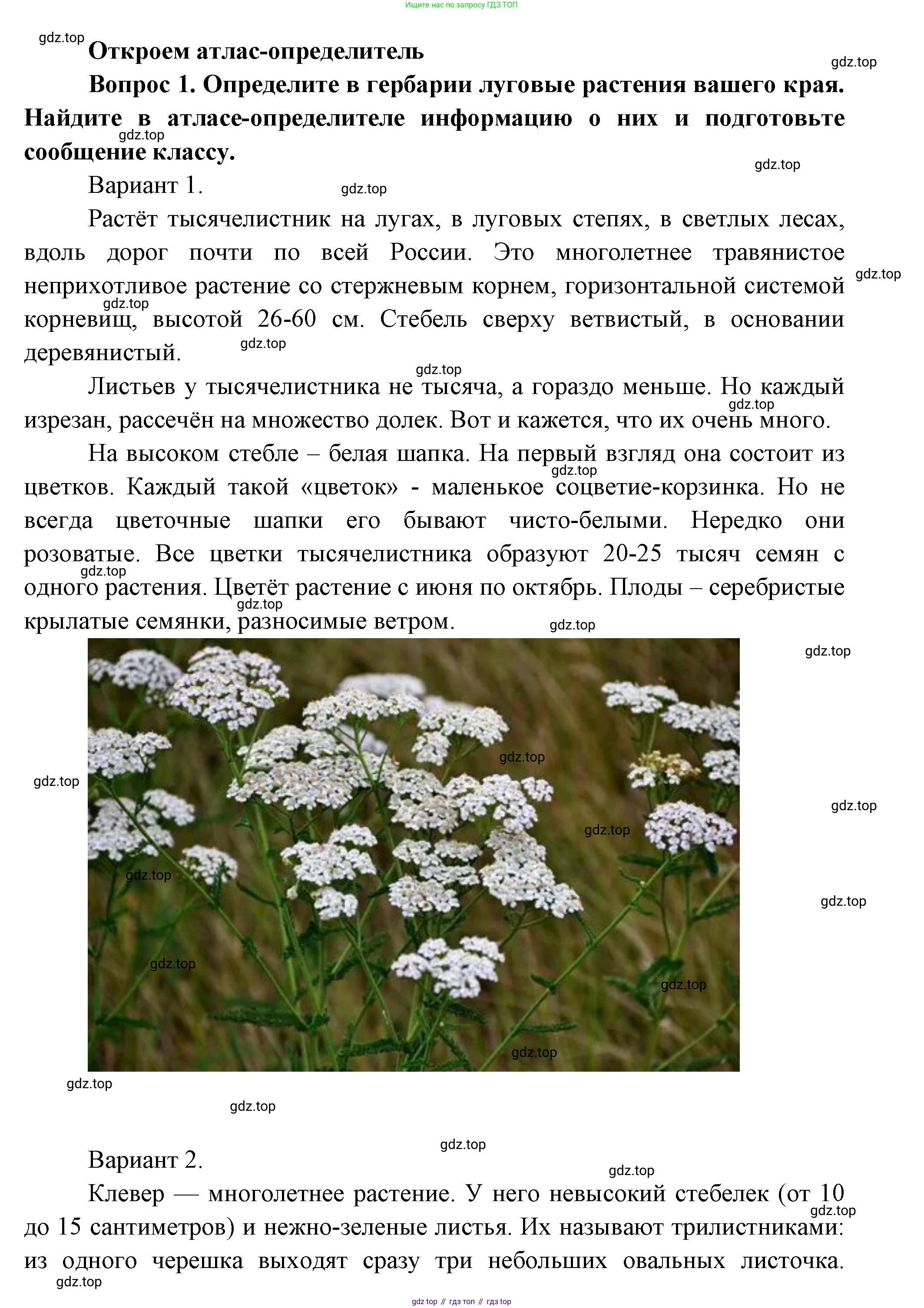 Окружающий мир, 3 класс Учебник, авторы: Плешаков Андрей Анатольевич, Новицкая Марина Юрьевна, издательство Просвещение, Москва, 2019, белого цвета, Часть 1, страница 111, номер 1, Решение