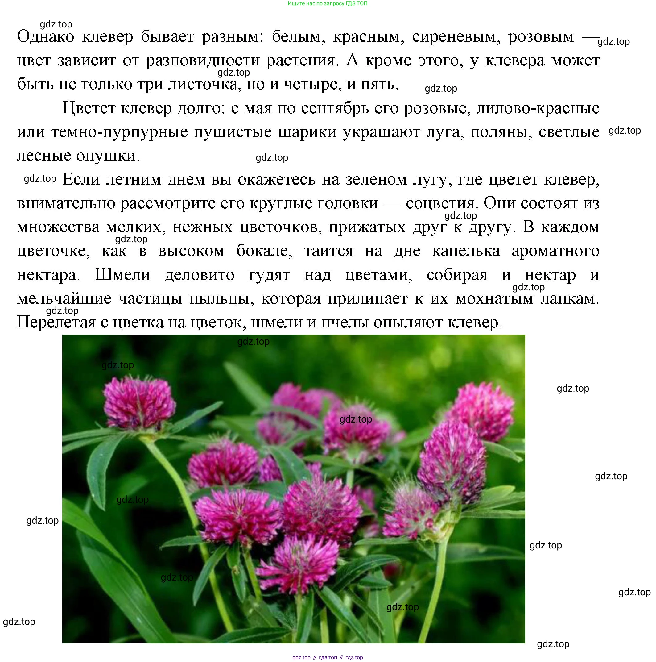 Окружающий мир, 3 класс Учебник, авторы: Плешаков Андрей Анатольевич, Новицкая Марина Юрьевна, издательство Просвещение, Москва, 2019, белого цвета, Часть 1, страница 111, номер 1, Решение (продолжение 2)