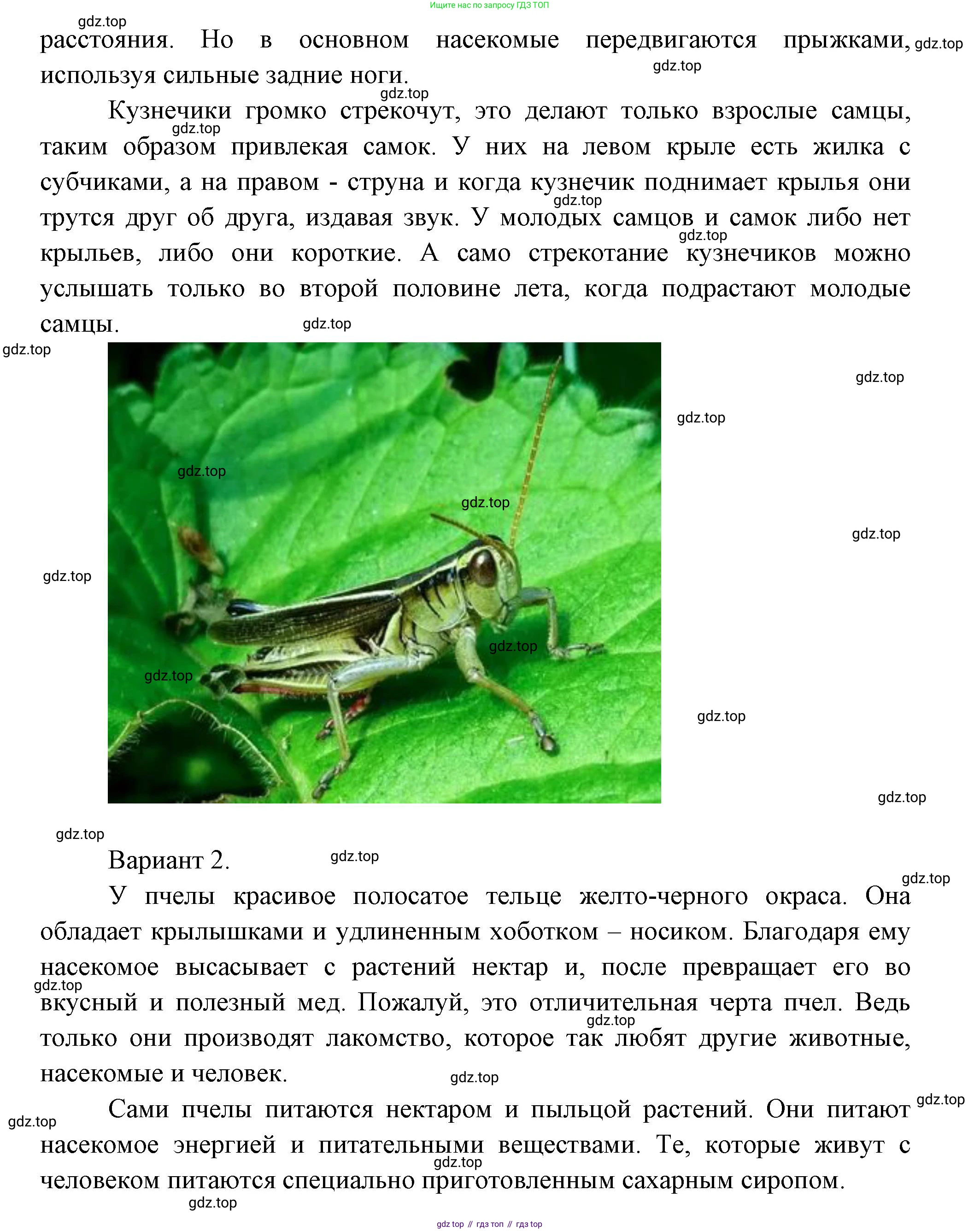 Окружающий мир, 3 класс Учебник, авторы: Плешаков Андрей Анатольевич, Новицкая Марина Юрьевна, издательство Просвещение, Москва, 2019, белого цвета, Часть 1, страница 111, номер 2, Решение (продолжение 2)