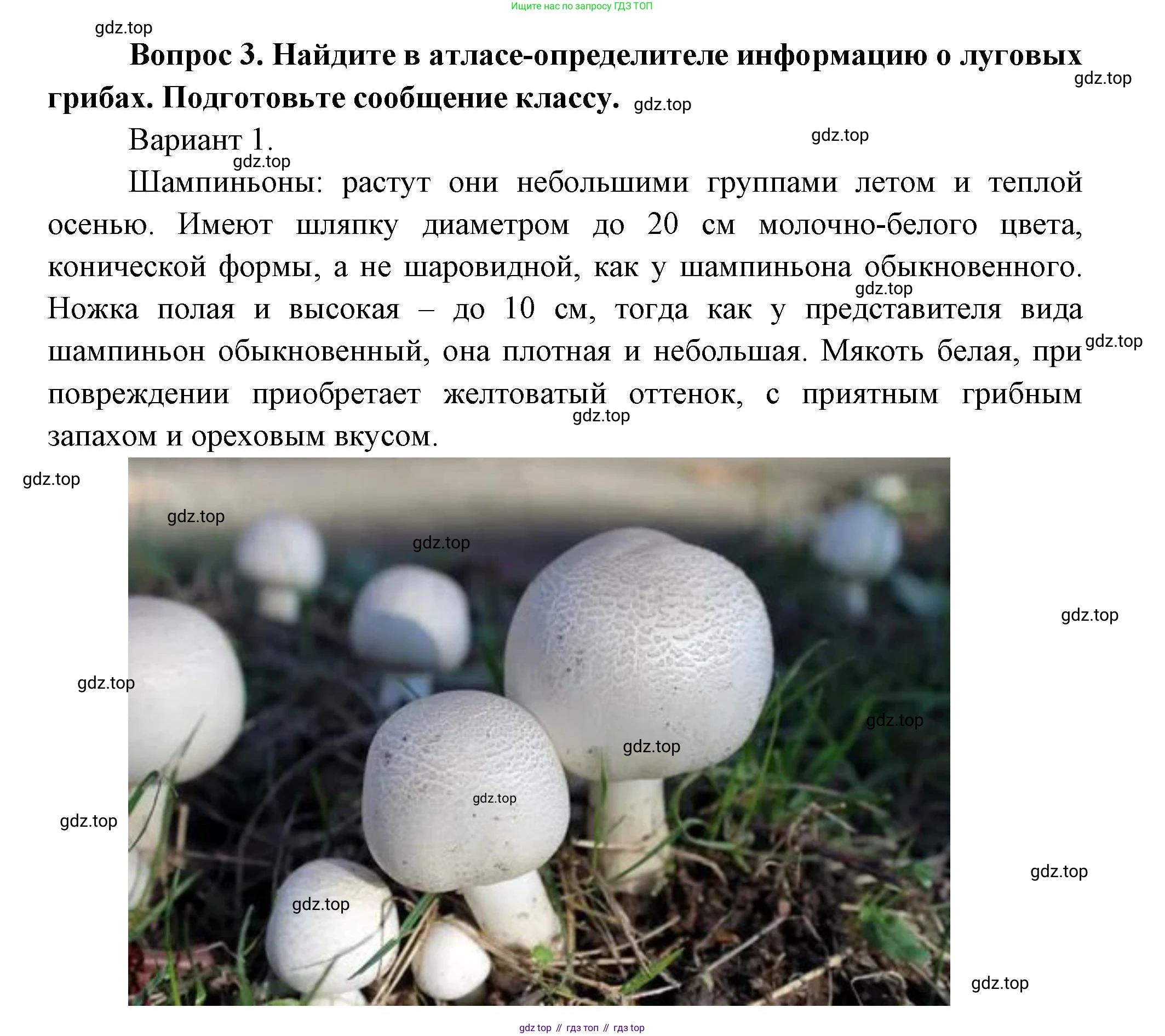 Окружающий мир, 3 класс Учебник, авторы: Плешаков Андрей Анатольевич, Новицкая Марина Юрьевна, издательство Просвещение, Москва, 2019, белого цвета, Часть 1, страница 111, номер 3, Решение