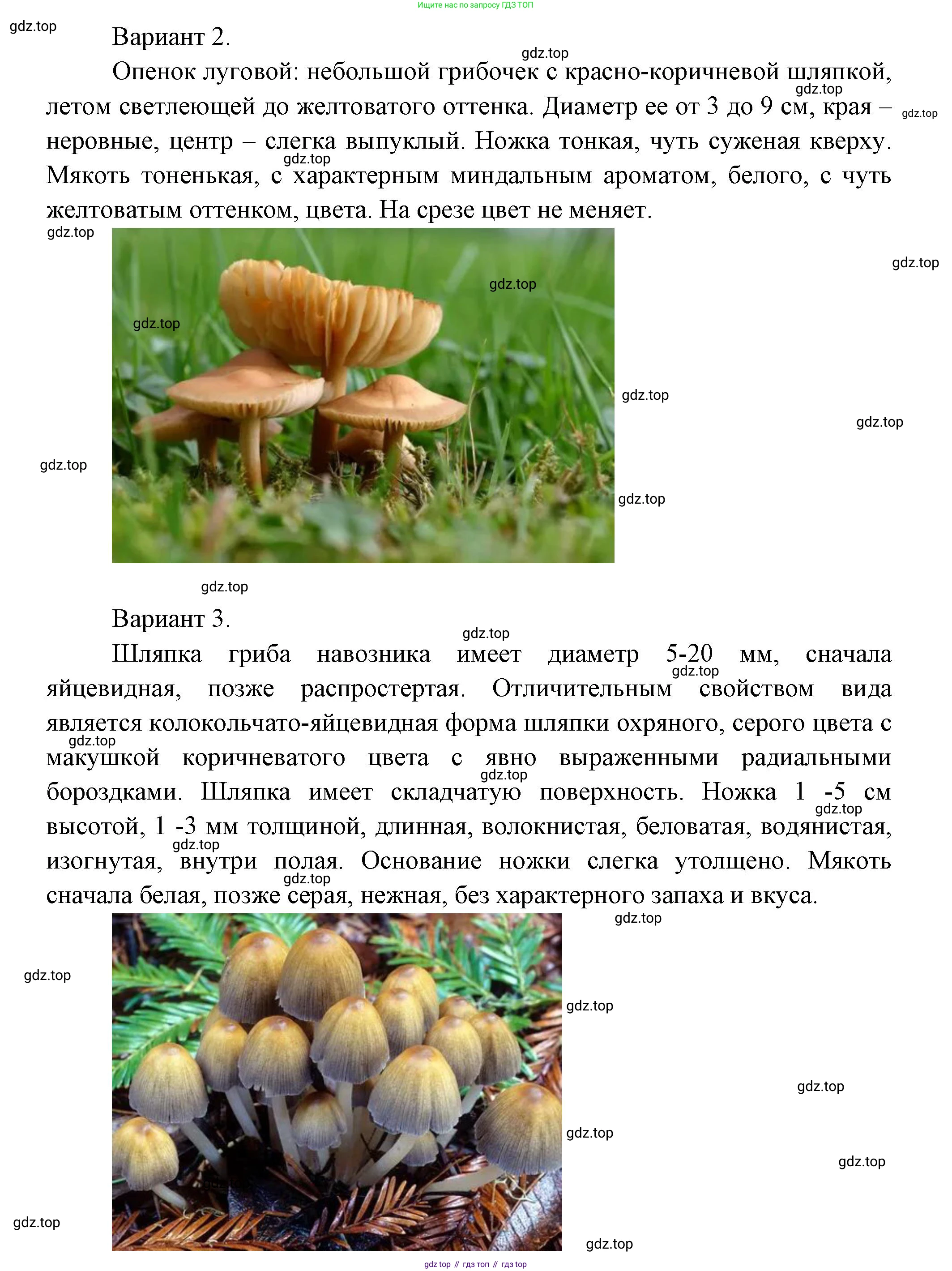 Окружающий мир, 3 класс Учебник, авторы: Плешаков Андрей Анатольевич, Новицкая Марина Юрьевна, издательство Просвещение, Москва, 2019, белого цвета, Часть 1, страница 111, номер 3, Решение (продолжение 2)
