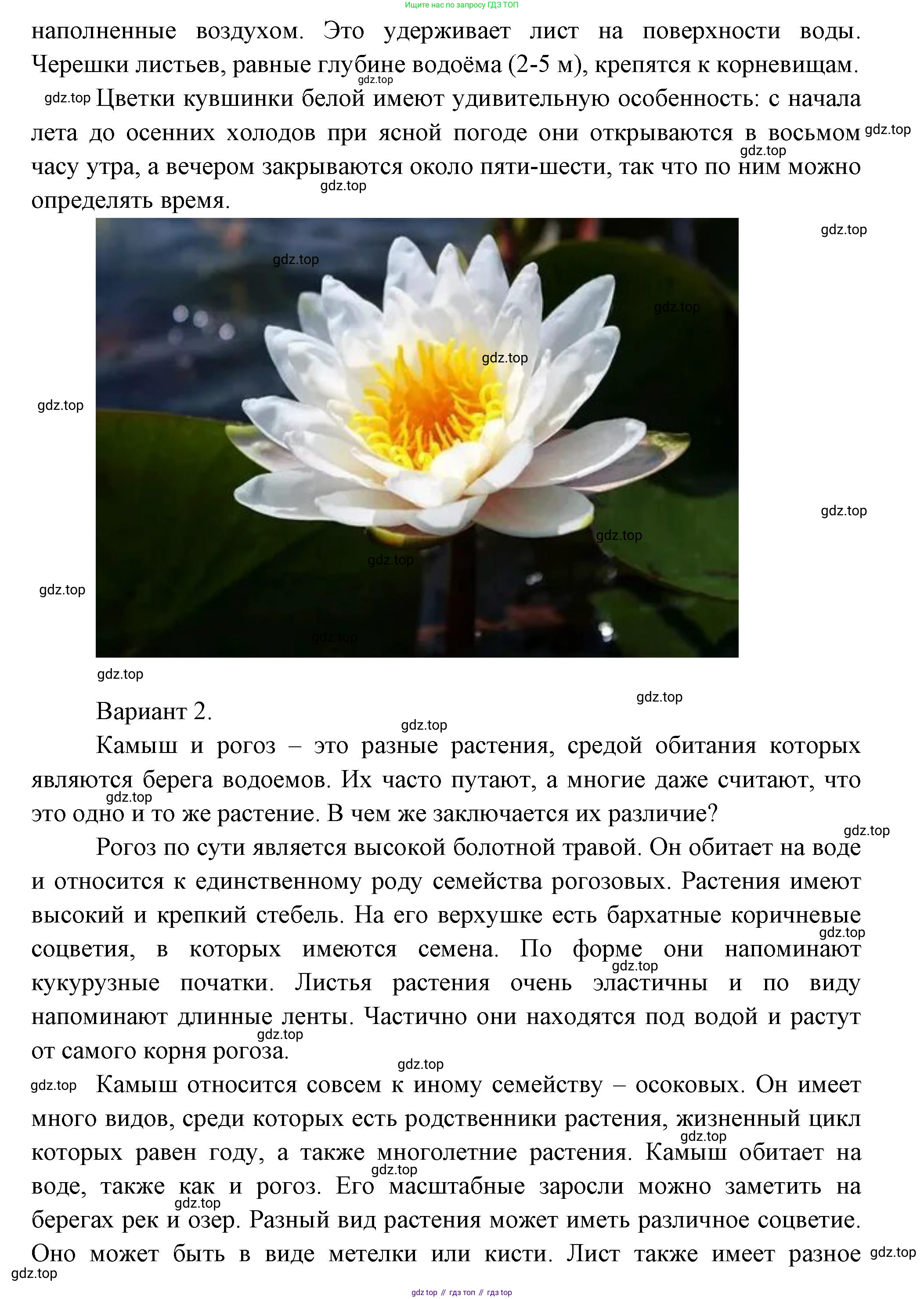 Окружающий мир, 3 класс Учебник, авторы: Плешаков Андрей Анатольевич, Новицкая Марина Юрьевна, издательство Просвещение, Москва, 2019, белого цвета, Часть 1, страница 117, номер 1, Решение (продолжение 2)