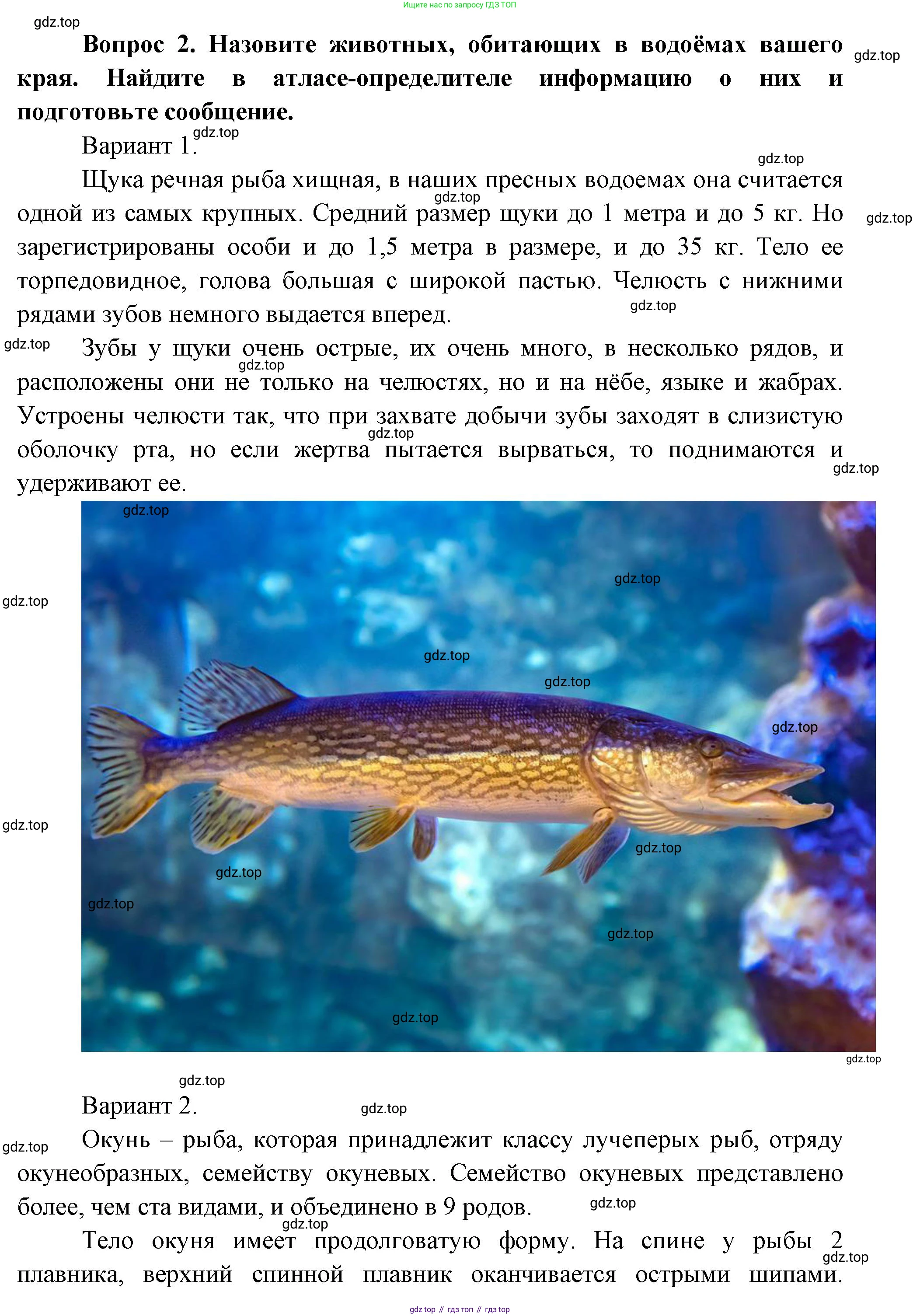 Окружающий мир, 3 класс Учебник, авторы: Плешаков Андрей Анатольевич, Новицкая Марина Юрьевна, издательство Просвещение, Москва, 2019, белого цвета, Часть 1, страница 117, номер 2, Решение