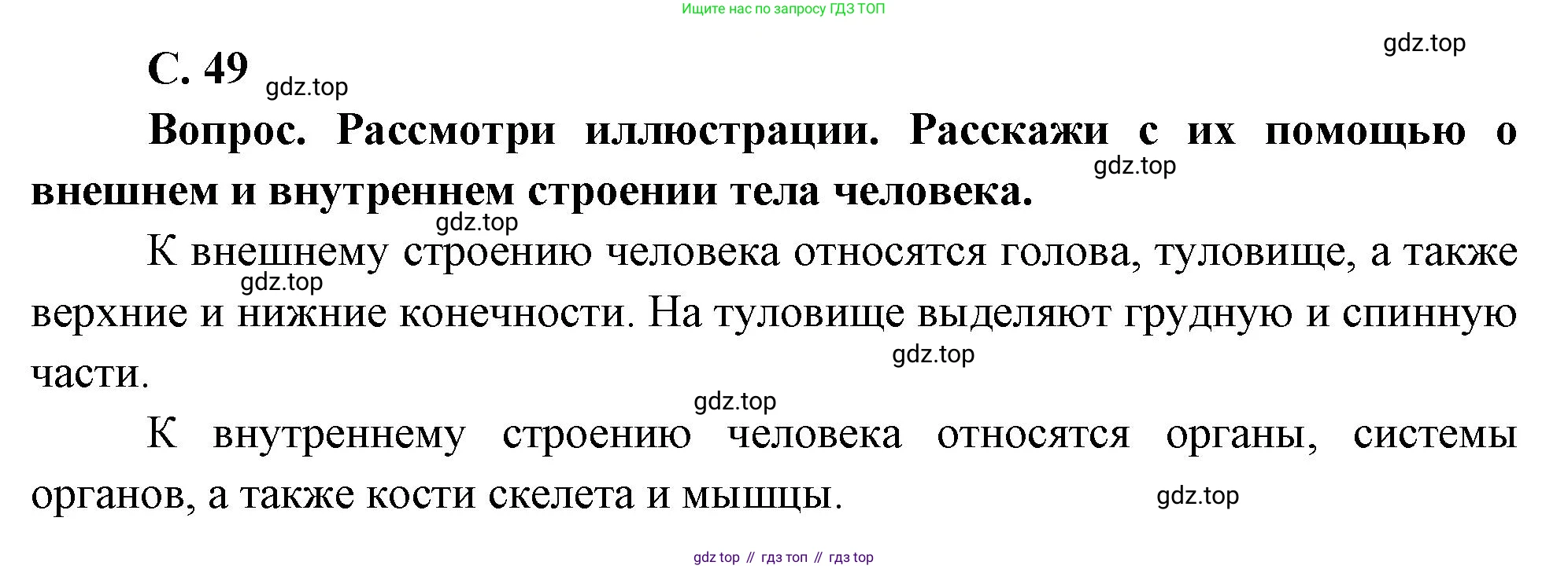 Окружающий мир, 3 класс Учебник, авторы: Плешаков Андрей Анатольевич, Новицкая Марина Юрьевна, издательство Просвещение, Москва, 2019, белого цвета, Часть 2, страница 49, номер 1, Решение