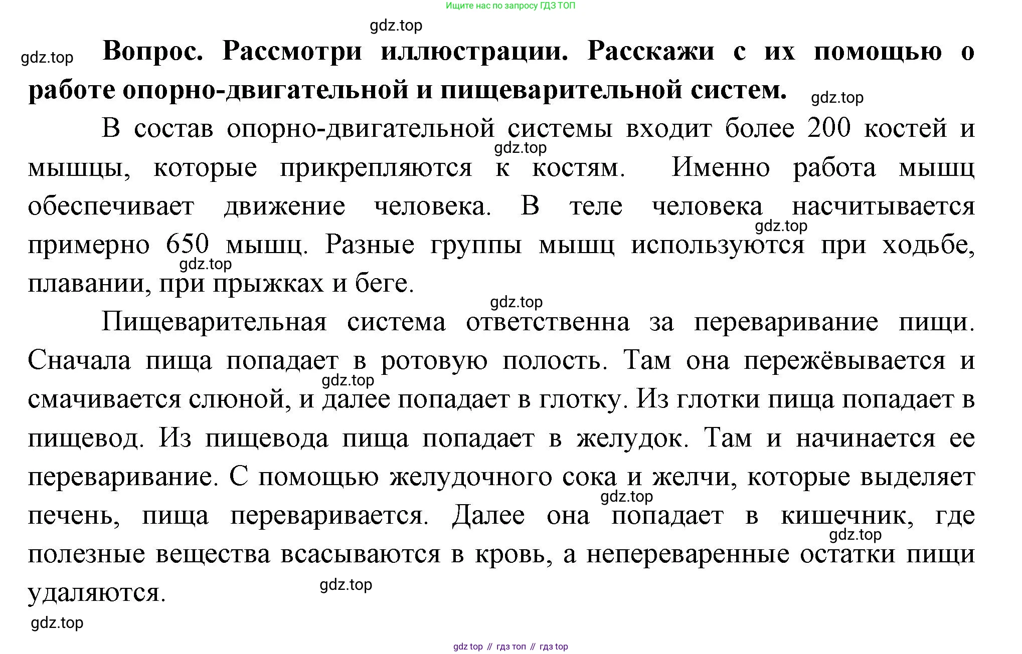 Окружающий мир, 3 класс Учебник, авторы: Плешаков Андрей Анатольевич, Новицкая Марина Юрьевна, издательство Просвещение, Москва, 2019, белого цвета, Часть 2, страница 53, Решение