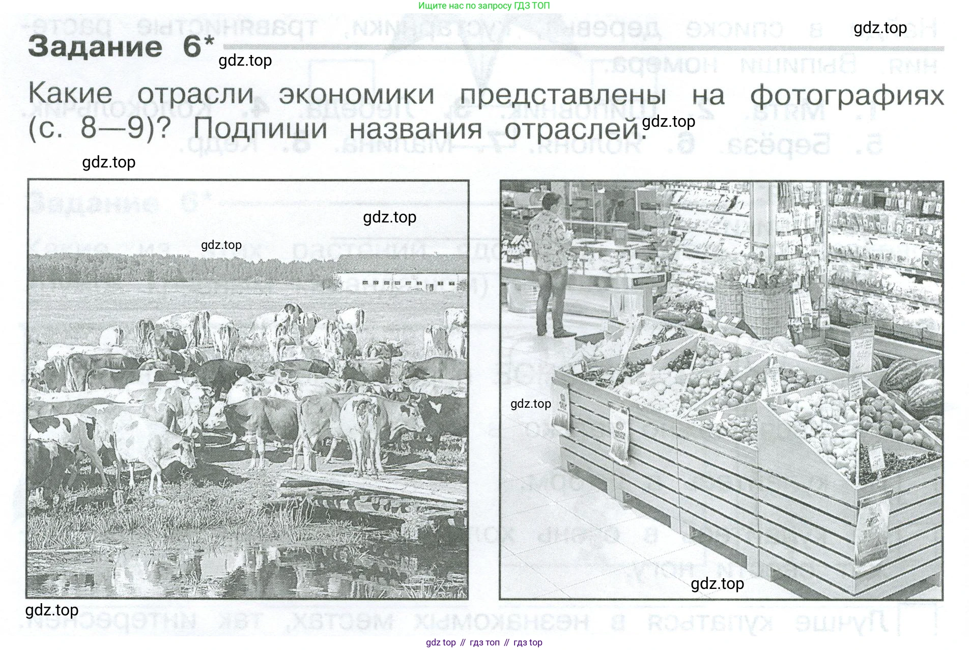 Окружающий мир, 3 класс Проверочные работы, авторы: Плешаков Андрей Анатольевич, Плешаков С А, издательство Просвещение, Москва, 2023, белого цвета, страница 8, номер 6, Условие