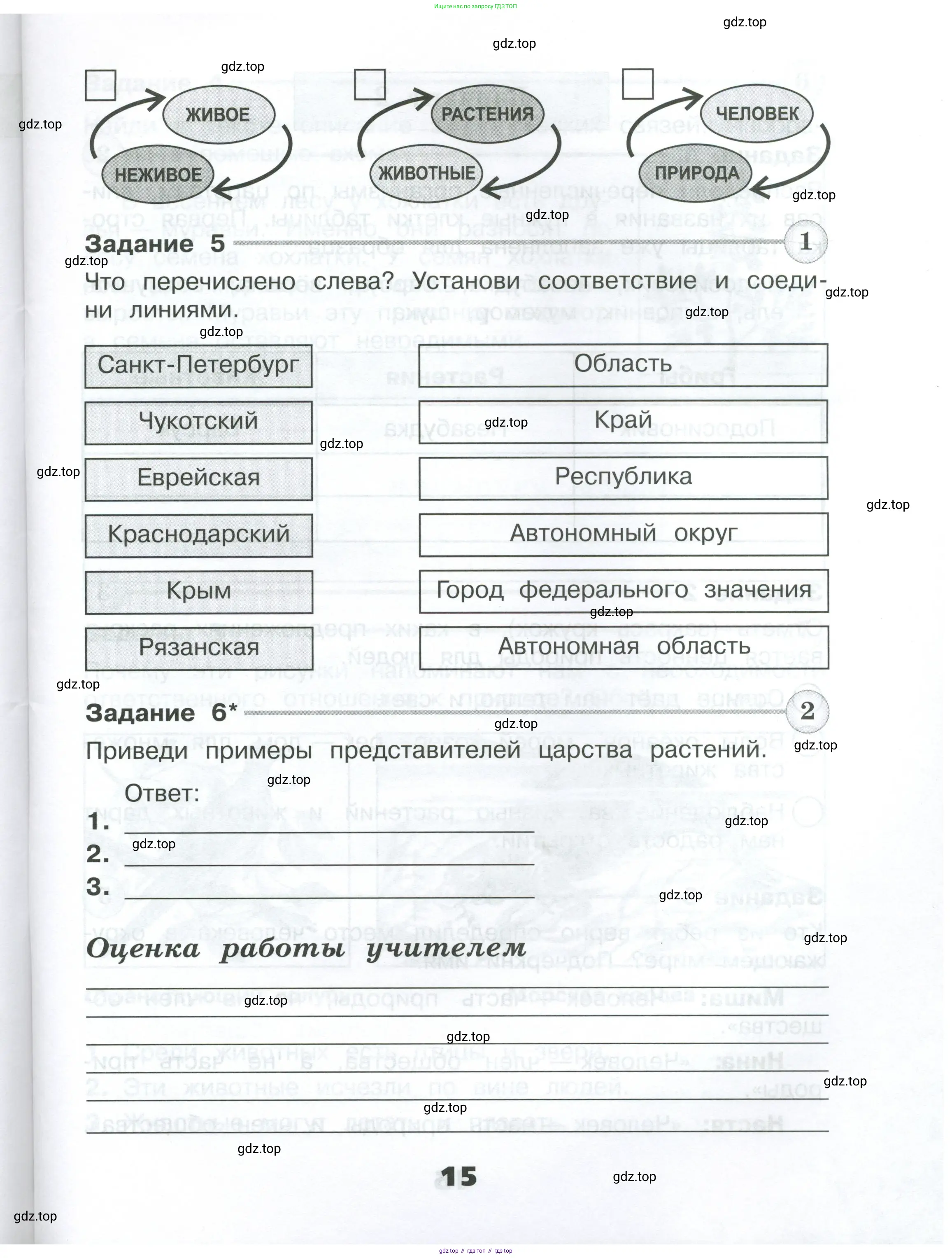 Окружающий мир, 3 класс Проверочные работы, авторы: Плешаков Андрей Анатольевич, Плешаков С А, издательство Просвещение, Москва, 2023, белого цвета, страница 15