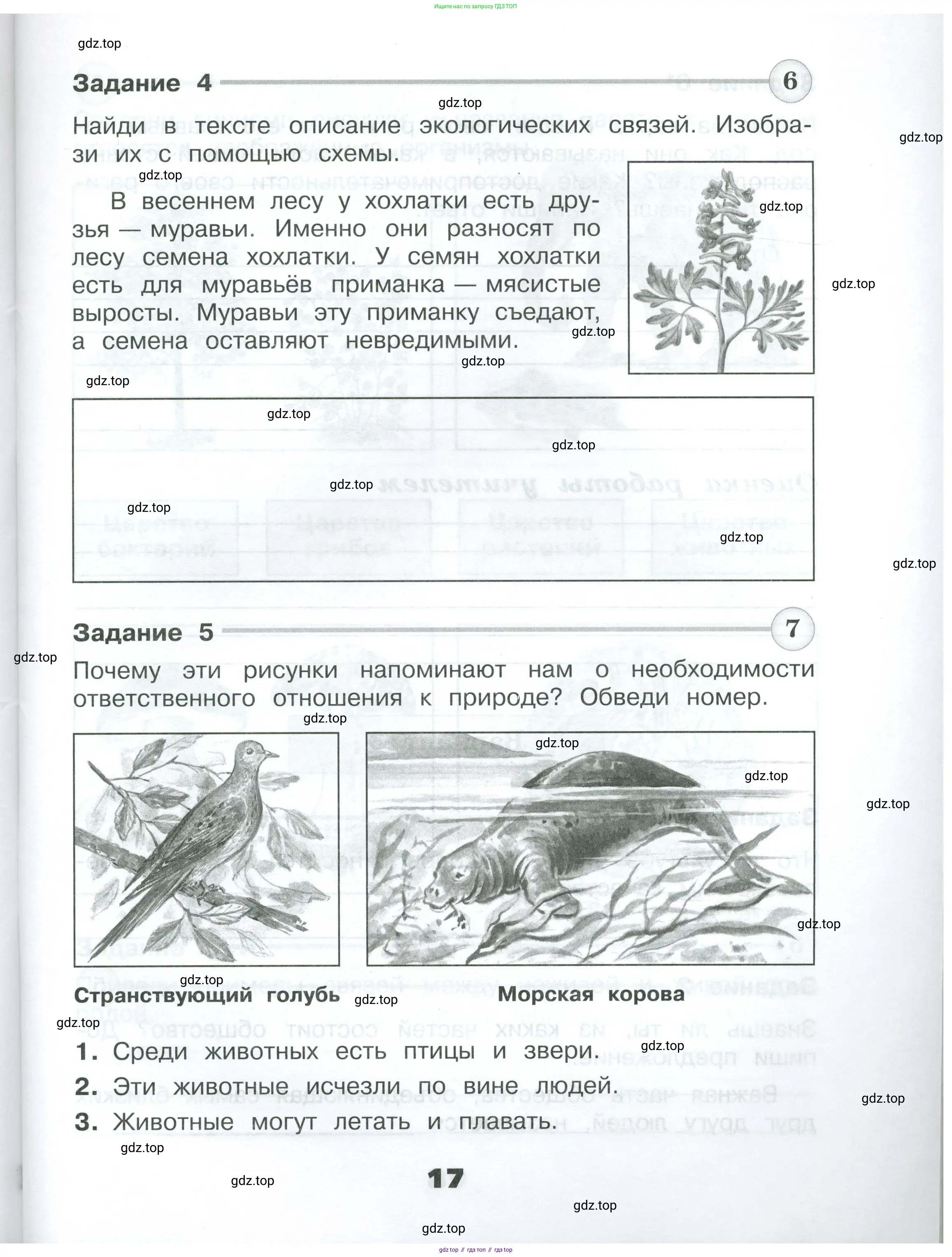 Окружающий мир, 3 класс Проверочные работы, авторы: Плешаков Андрей Анатольевич, Плешаков С А, издательство Просвещение, Москва, 2023, белого цвета, страница 17
