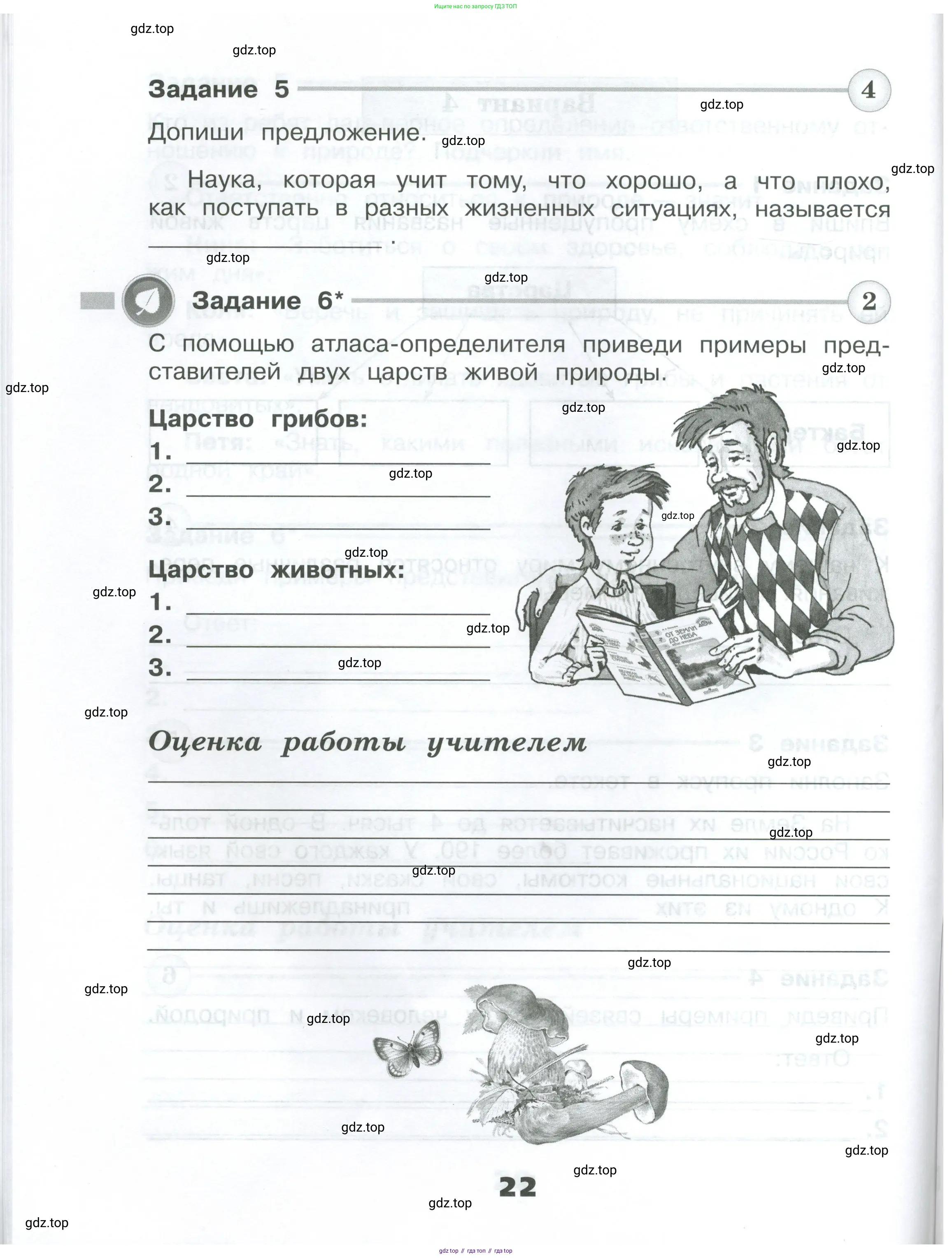 Окружающий мир, 3 класс Проверочные работы, авторы: Плешаков Андрей Анатольевич, Плешаков С А, издательство Просвещение, Москва, 2023, белого цвета, страница 22