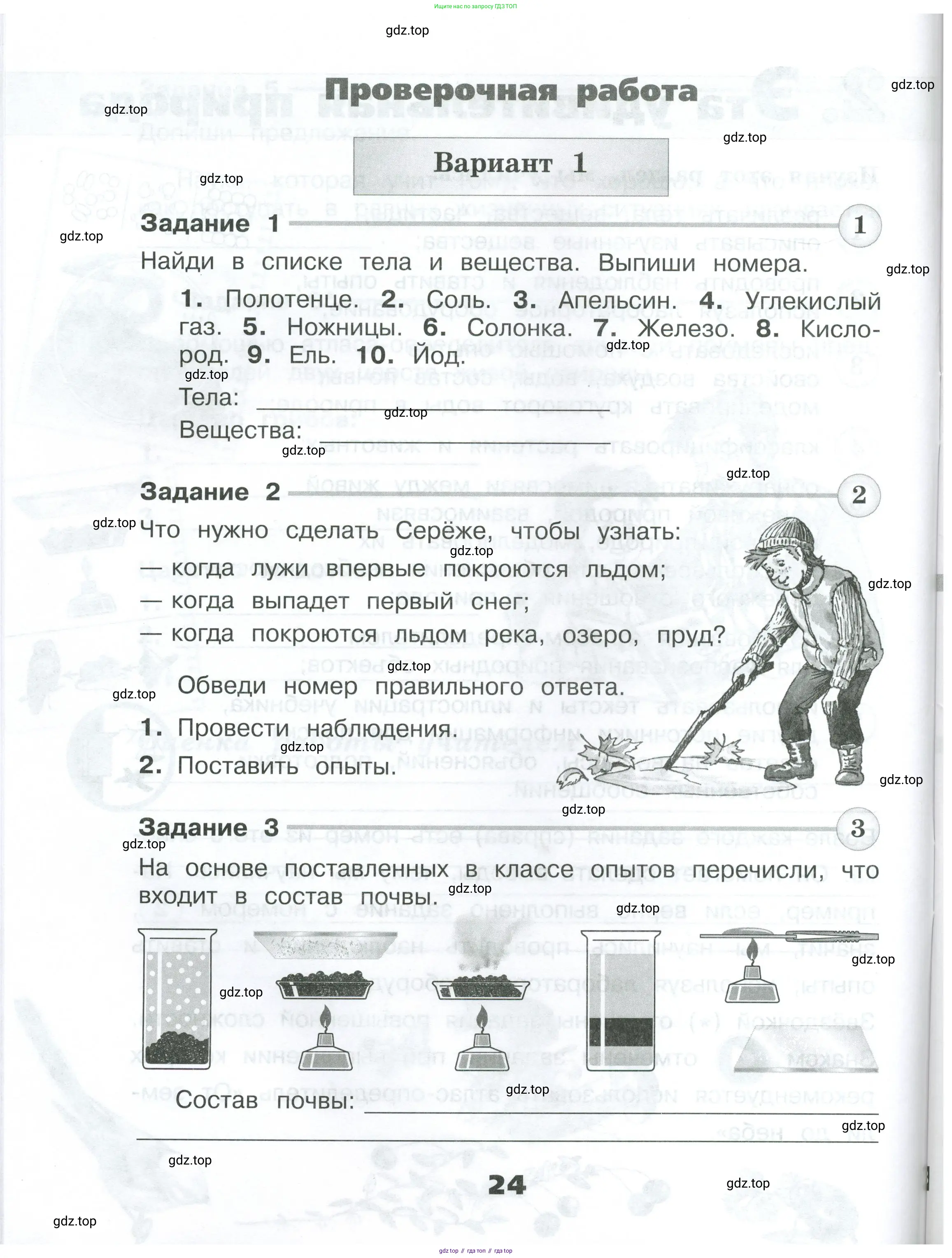Окружающий мир, 3 класс Проверочные работы, авторы: Плешаков Андрей Анатольевич, Плешаков С А, издательство Просвещение, Москва, 2023, белого цвета, страница 24