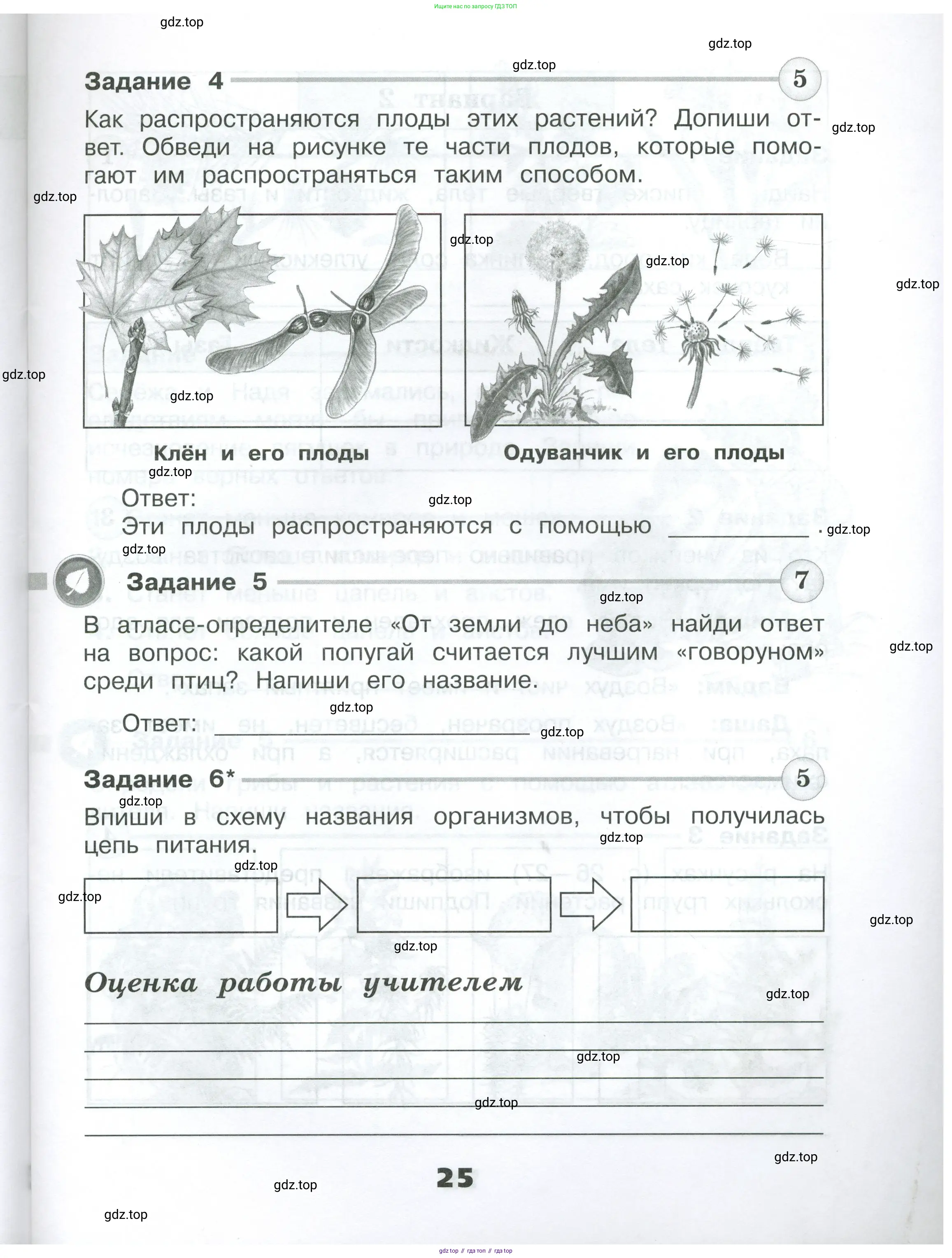 Окружающий мир, 3 класс Проверочные работы, авторы: Плешаков Андрей Анатольевич, Плешаков С А, издательство Просвещение, Москва, 2023, белого цвета, страница 25