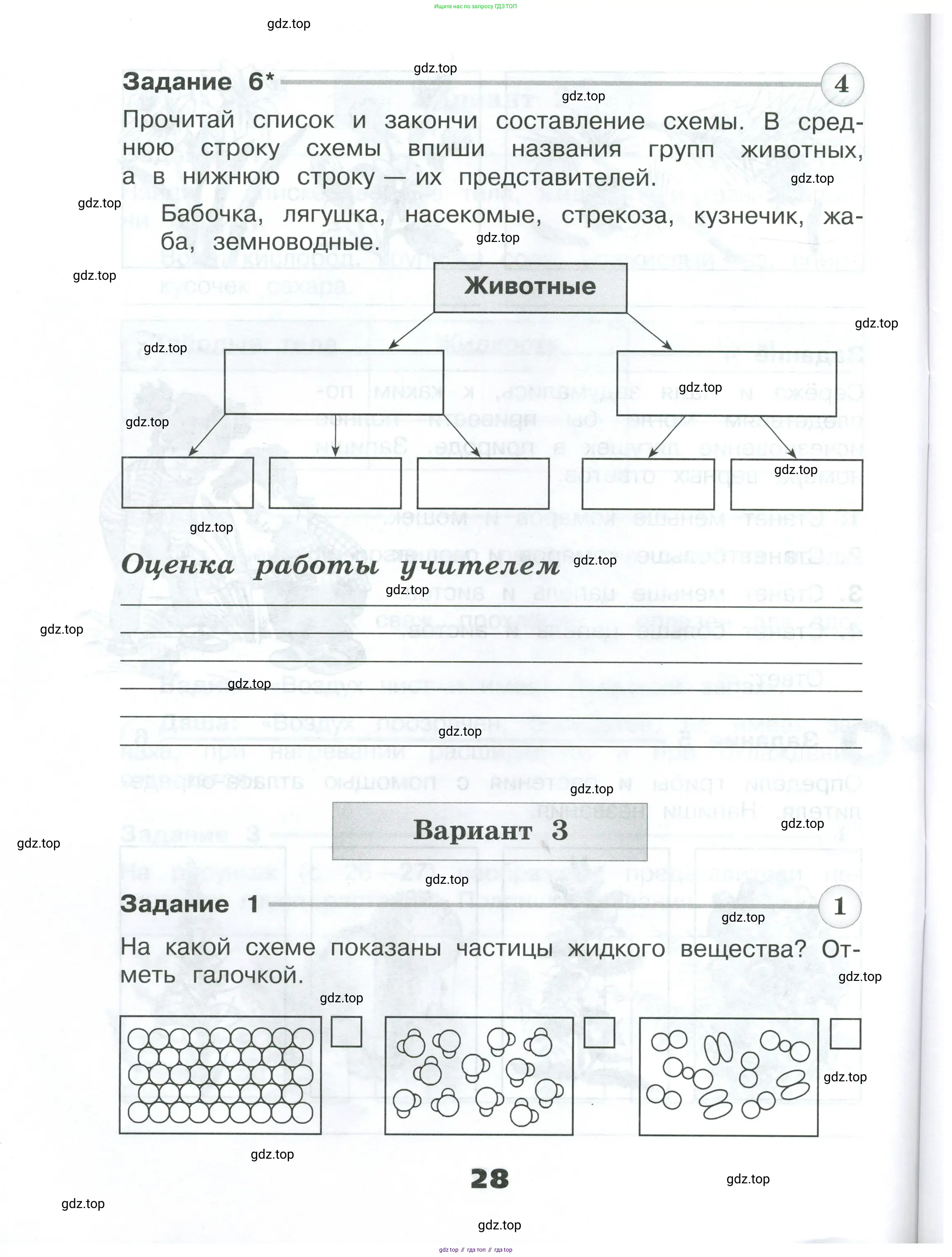 Окружающий мир, 3 класс Проверочные работы, авторы: Плешаков Андрей Анатольевич, Плешаков С А, издательство Просвещение, Москва, 2023, белого цвета, страница 28